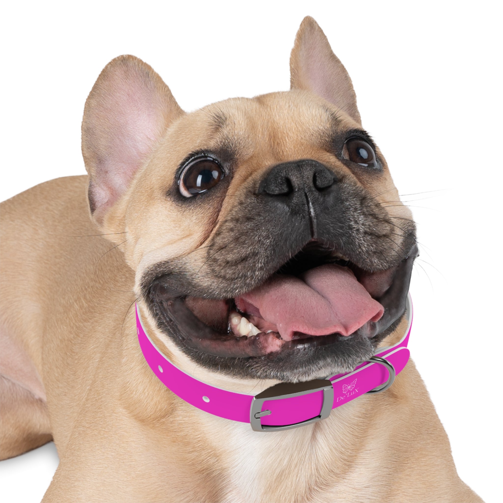 Bright Pink Dog Collar — De'Lux Butterfly Adjustable Pet Collar