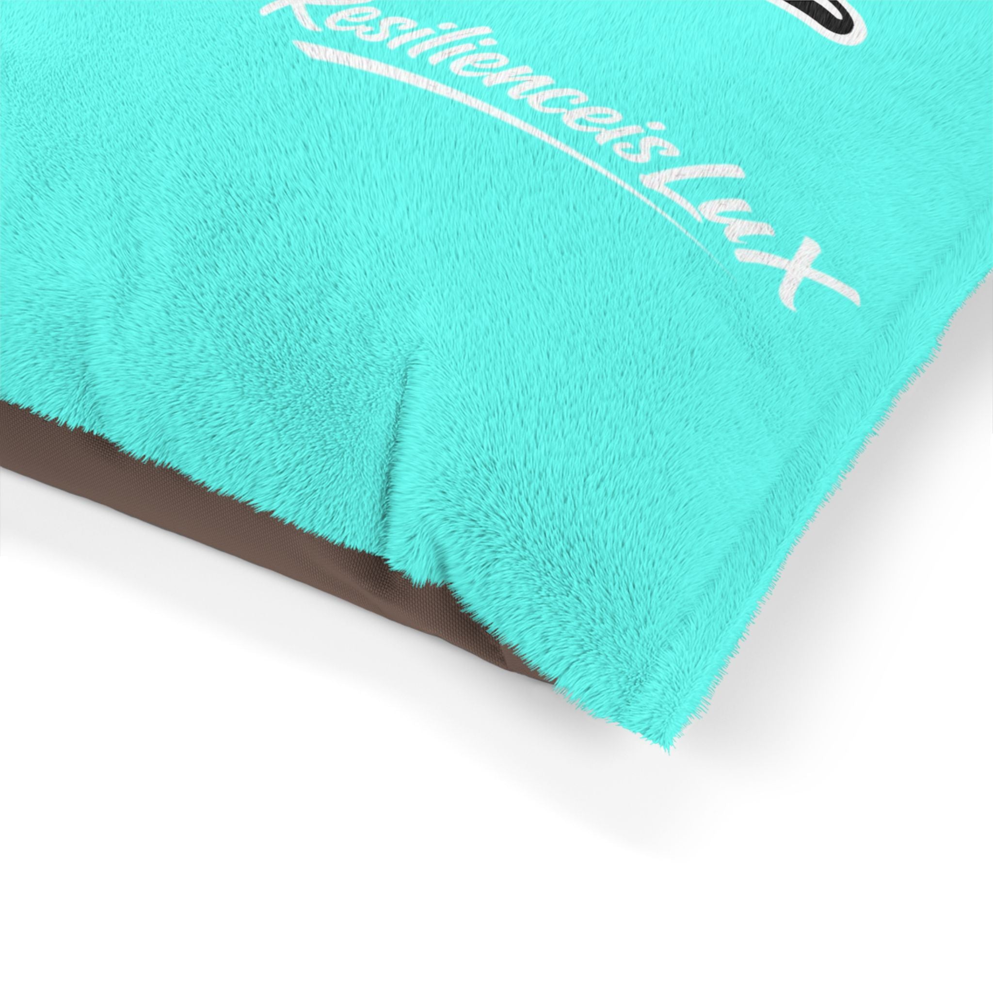 Pet Bed — Delux Streetwear Turquoise Plush Pillow with “Delux Streetwear” & #NotEveryoneCan Print