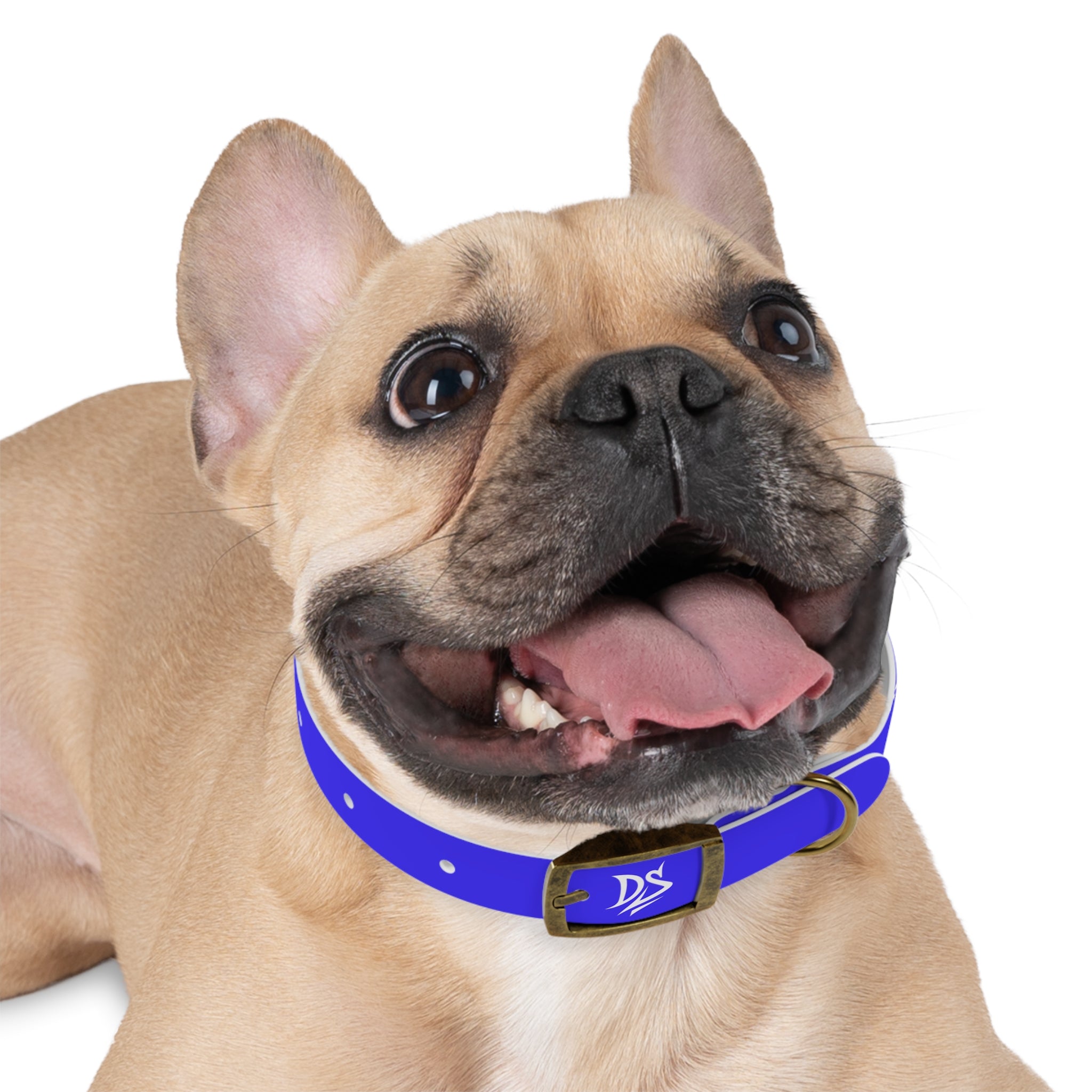 Blue Branded Dog Collar — Adjustable Waterproof Pet Collar with White Logo
