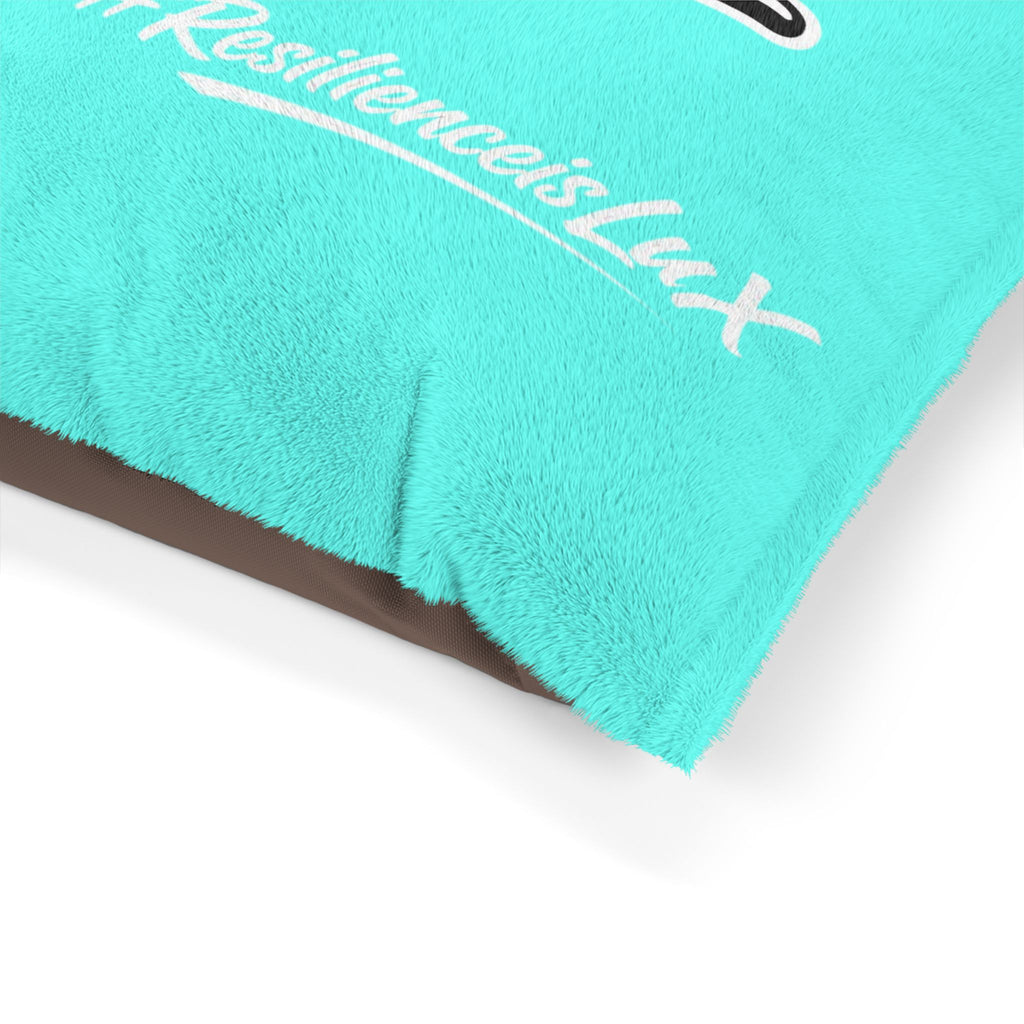 Pet Bed — Delux Streetwear Turquoise Plush Pillow with “Delux Streetwear” & #NotEveryoneCan Print