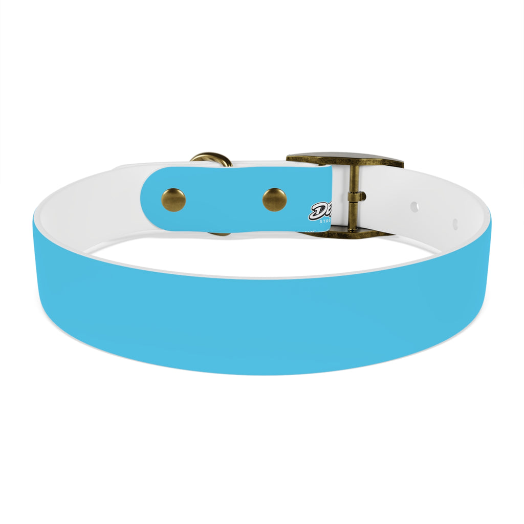 Aqua Blue Dog Collar — Durable Waterproof Pet Collar with Black Buckle
