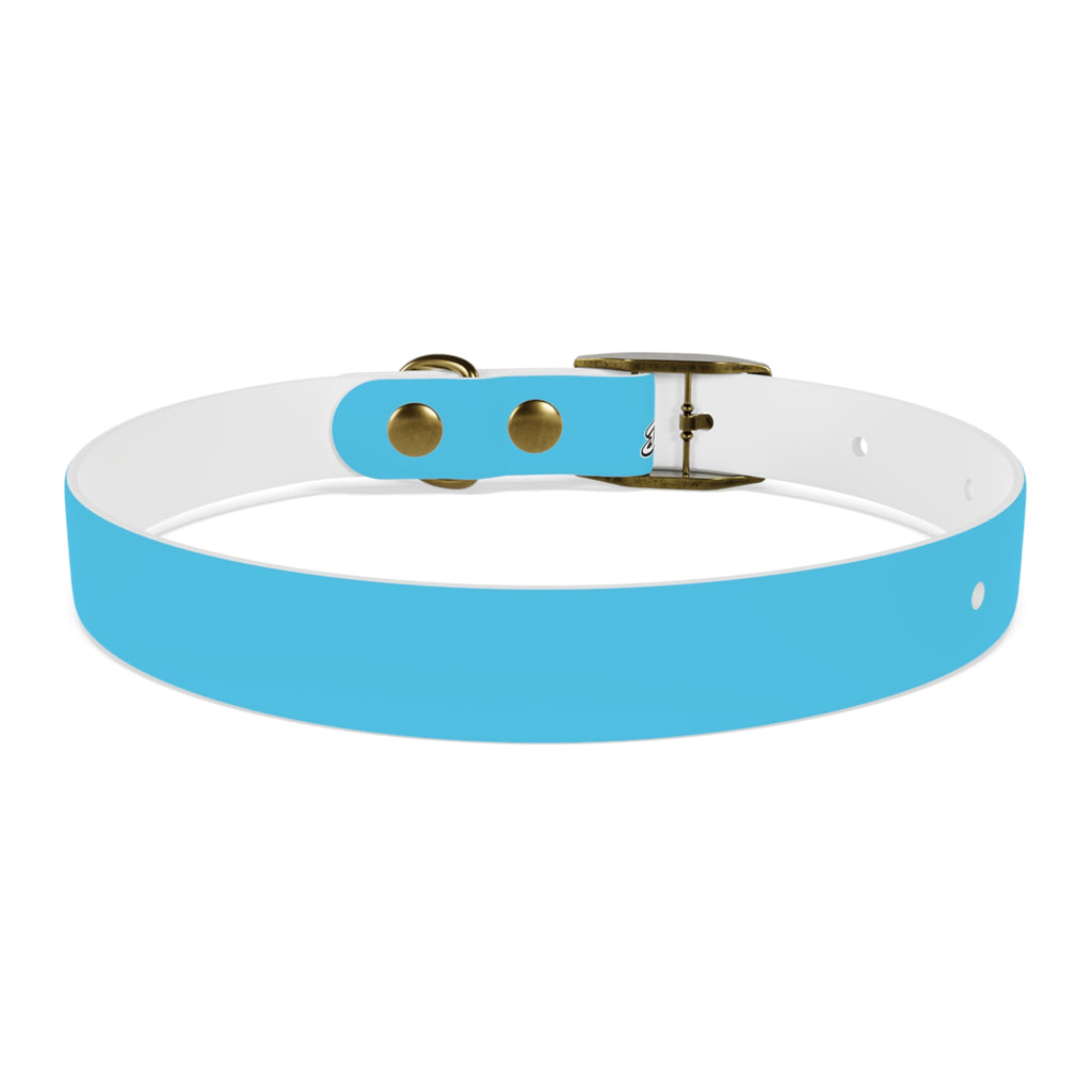 Aqua Blue Dog Collar — Durable Waterproof Pet Collar with Black Buckle