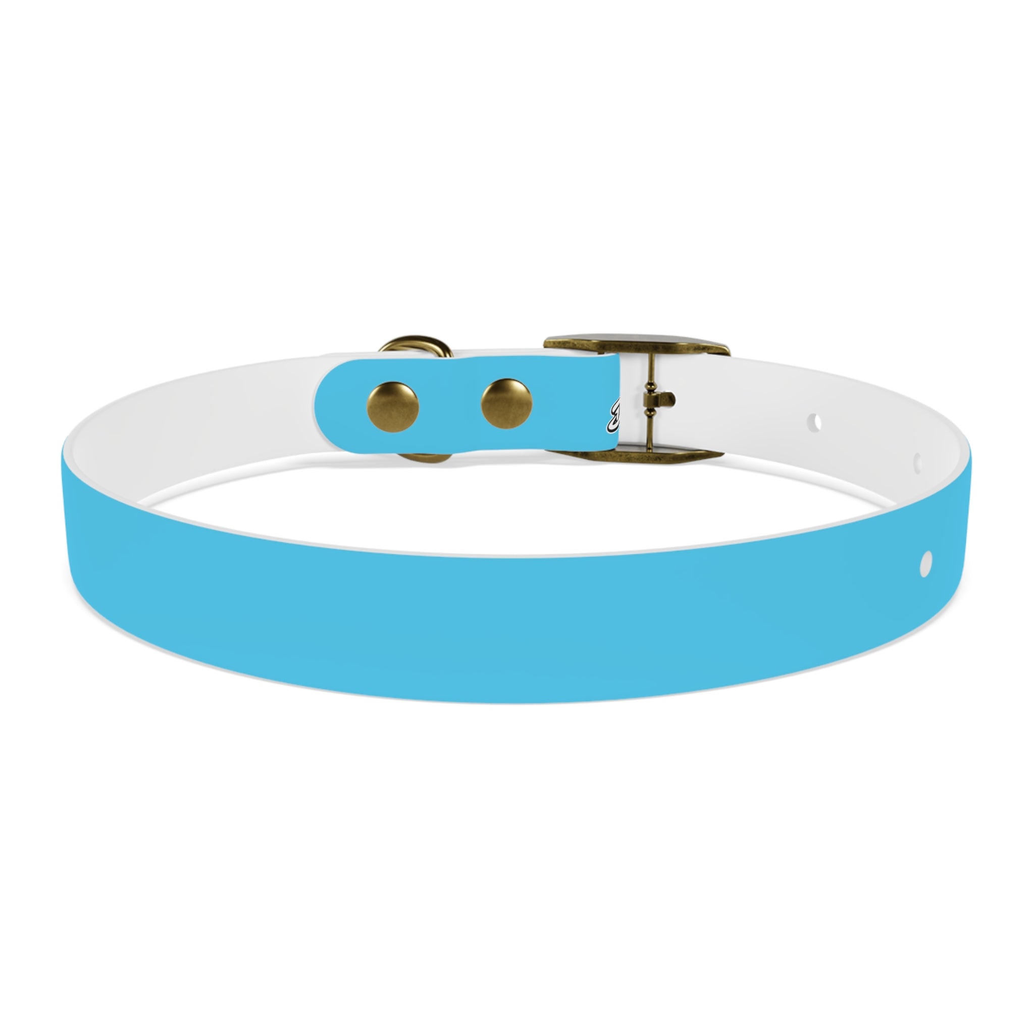 Aqua Blue Dog Collar — Durable Waterproof Pet Collar with Black Buckle