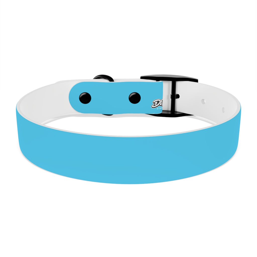 Aqua Blue Dog Collar — Durable Waterproof Pet Collar with Black Buckle