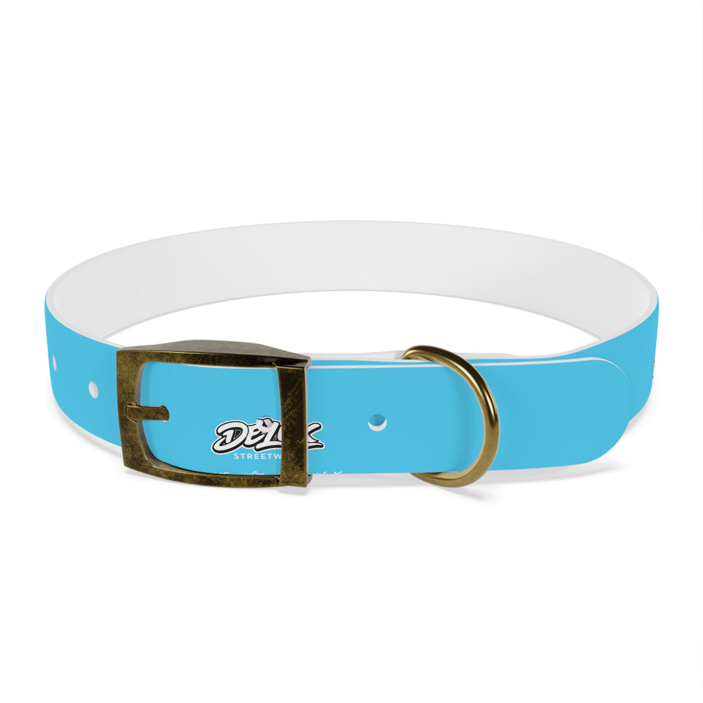 Aqua Blue Dog Collar — Durable Waterproof Pet Collar with Black Buckle