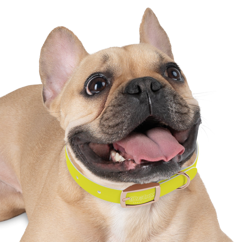 Neon Yellow Reflective Dog Collar — High-Visibility Safety Collar for Pets