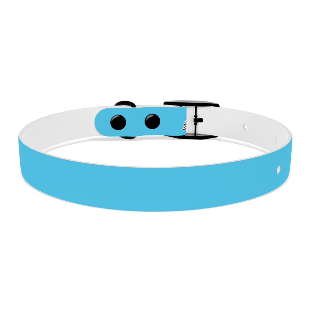 Aqua Blue Dog Collar — Durable Waterproof Pet Collar with Black Buckle