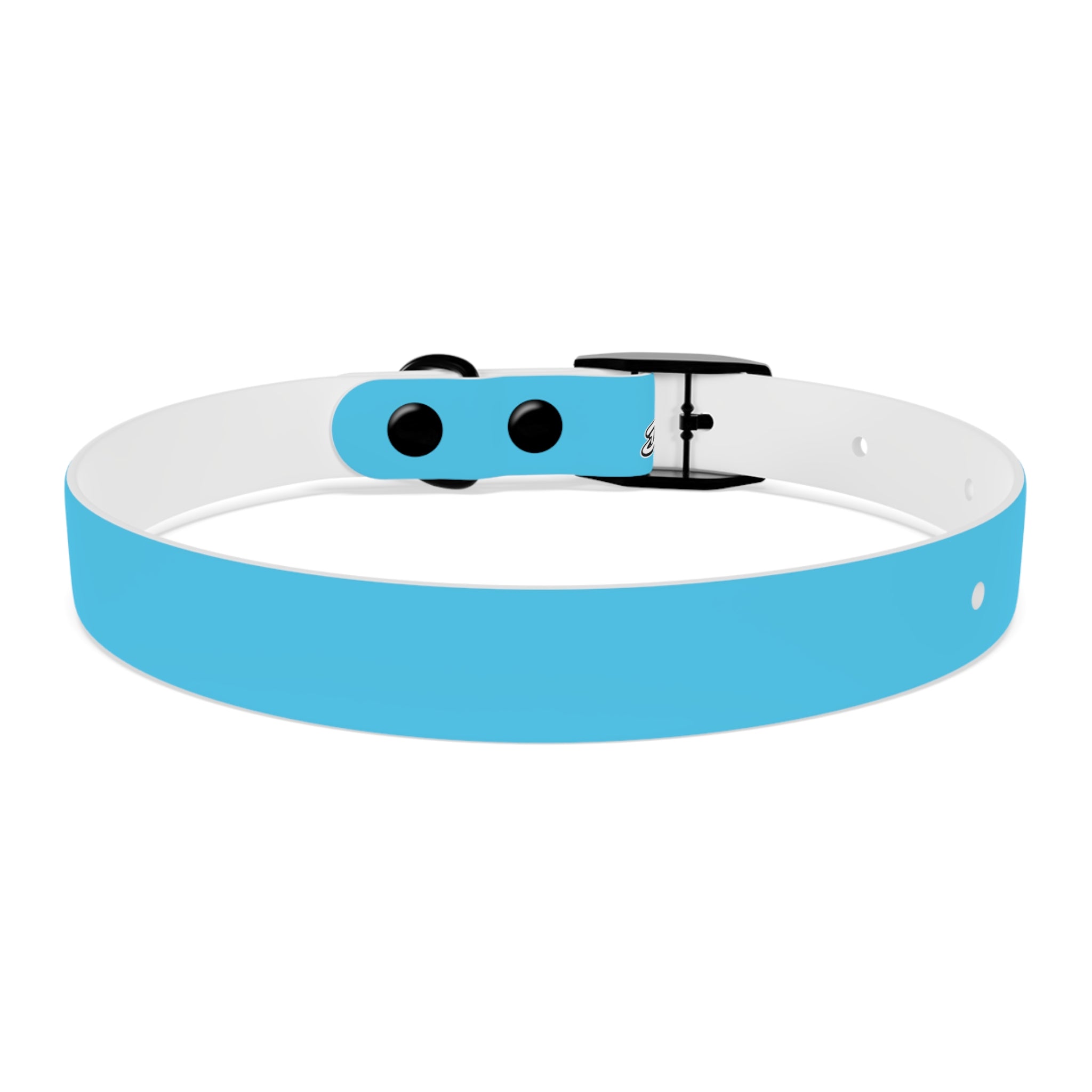 Aqua Blue Dog Collar — Durable Waterproof Pet Collar with Black Buckle