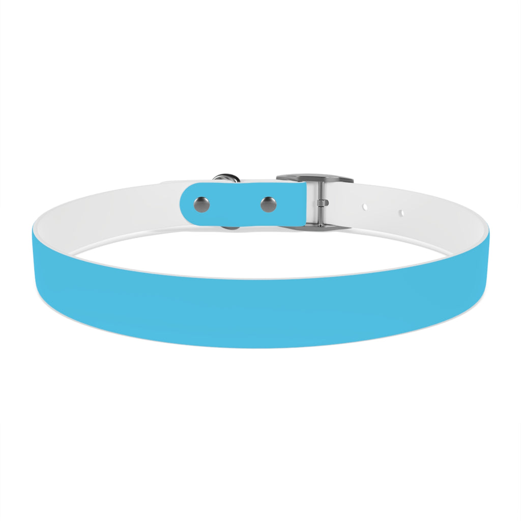 Aqua Blue Dog Collar — Durable Waterproof Pet Collar with Black Buckle