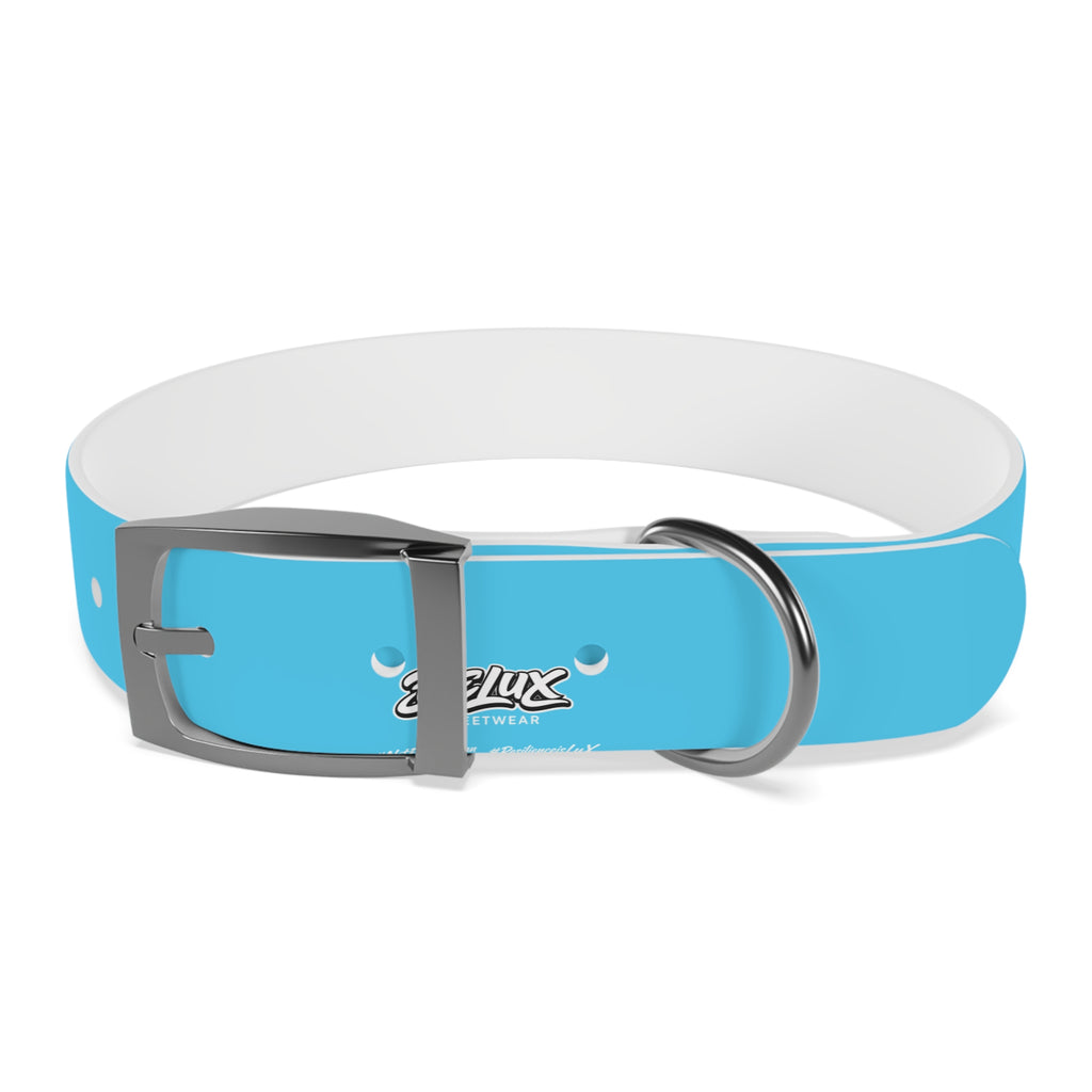 Aqua Blue Dog Collar — Durable Waterproof Pet Collar with Black Buckle