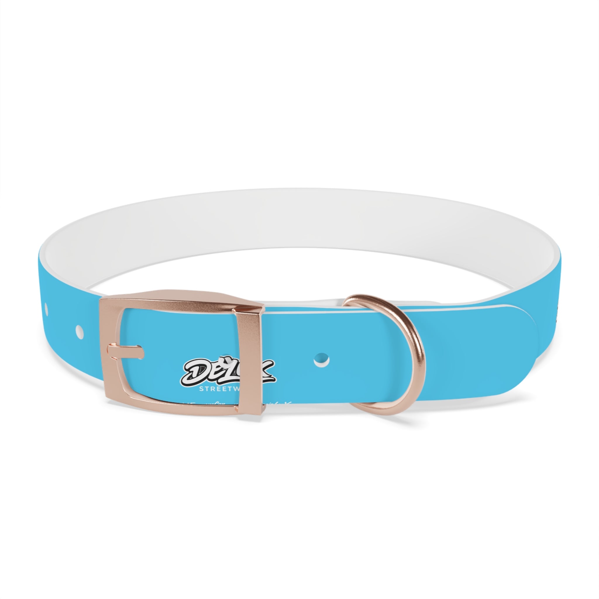 Aqua Blue Dog Collar — Durable Waterproof Pet Collar with Black Buckle
