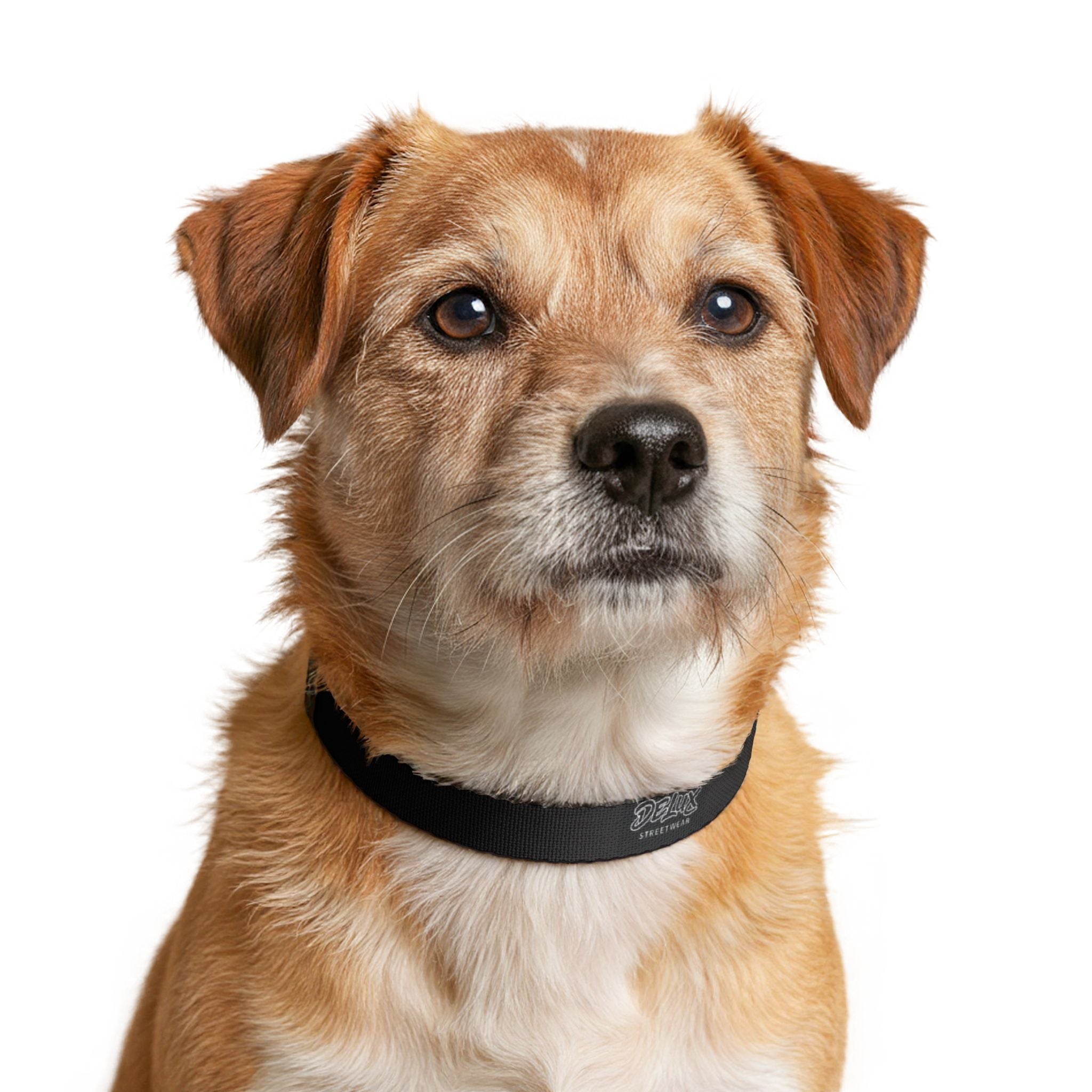 DeLUX Clip-on Pet Collar — Adjustable Quick-Release Dog & Cat Collar