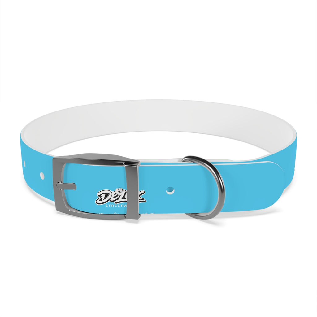 Aqua Blue Dog Collar — Durable Waterproof Pet Collar with Black Buckle