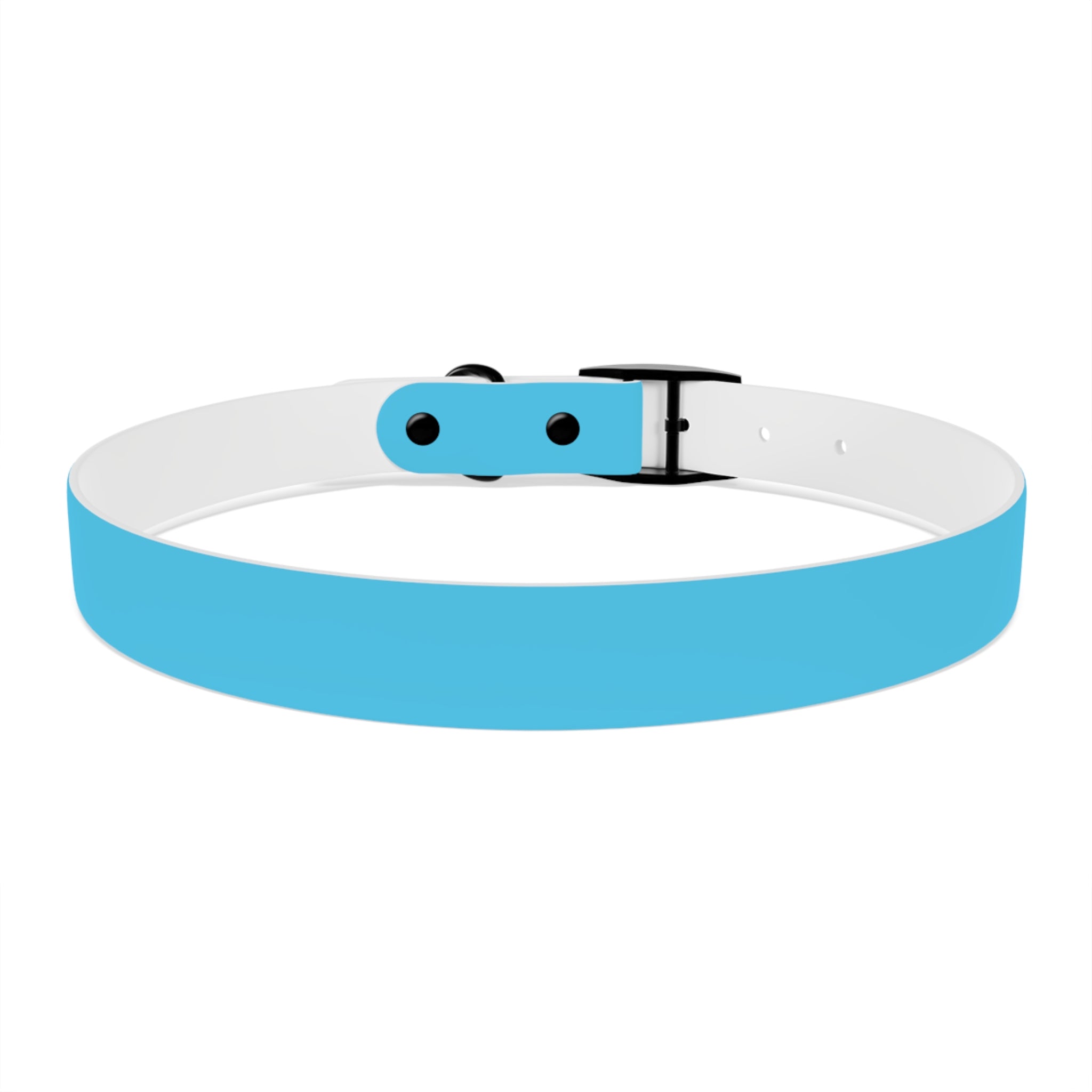 Aqua Blue Dog Collar — Durable Waterproof Pet Collar with Black Buckle