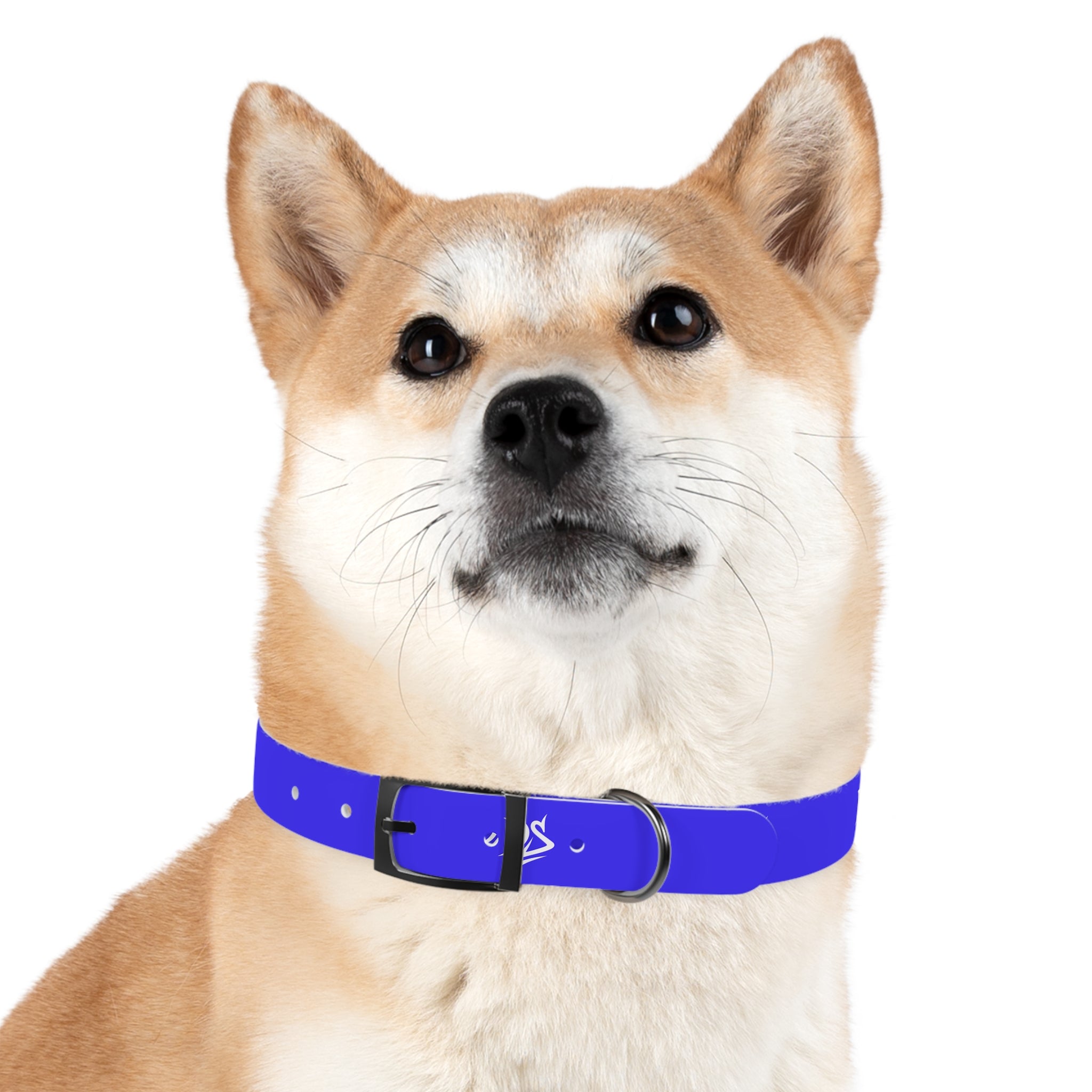Blue Branded Dog Collar — Adjustable Waterproof Pet Collar with White Logo