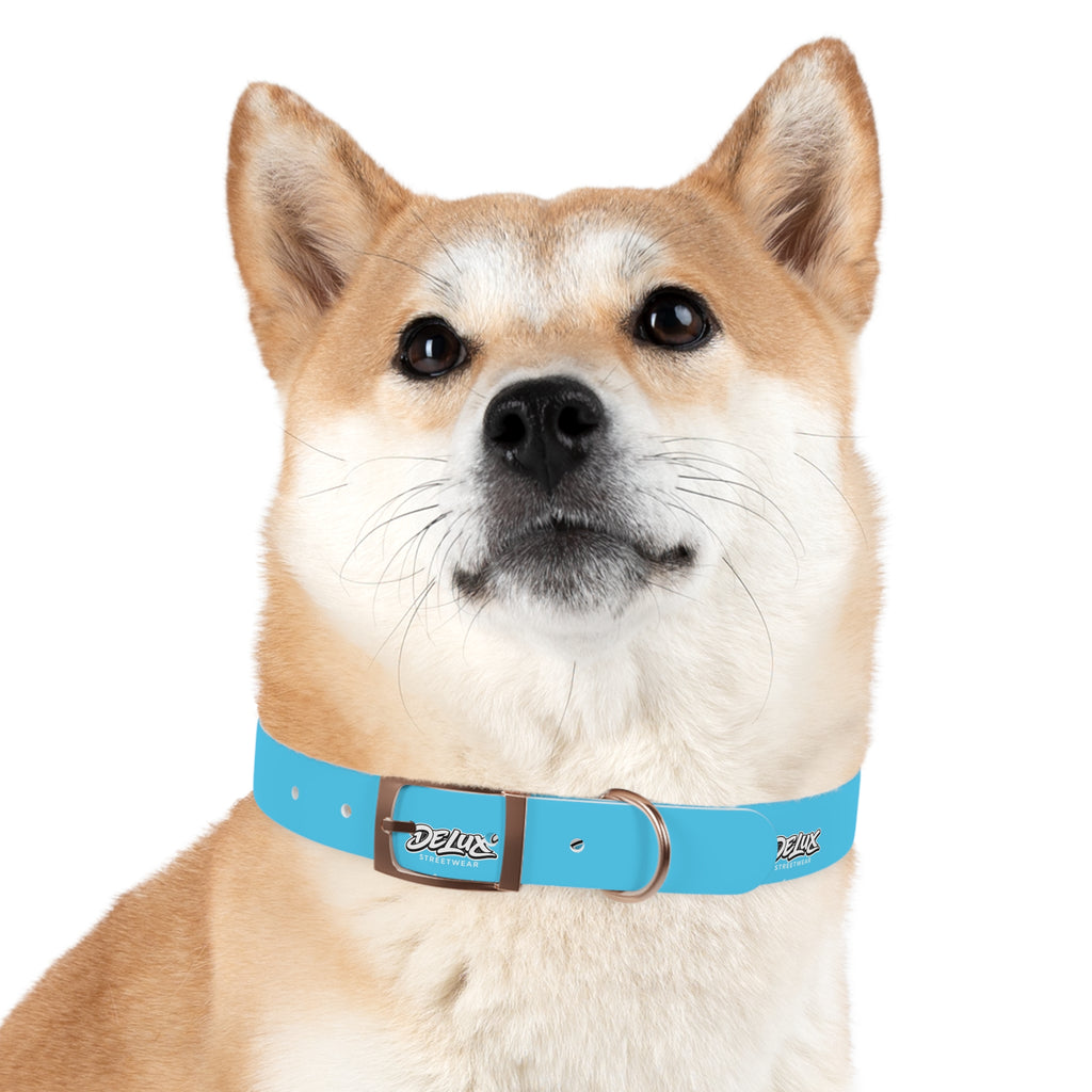 Aqua Blue Dog Collar — Durable Waterproof Pet Collar with Black Buckle