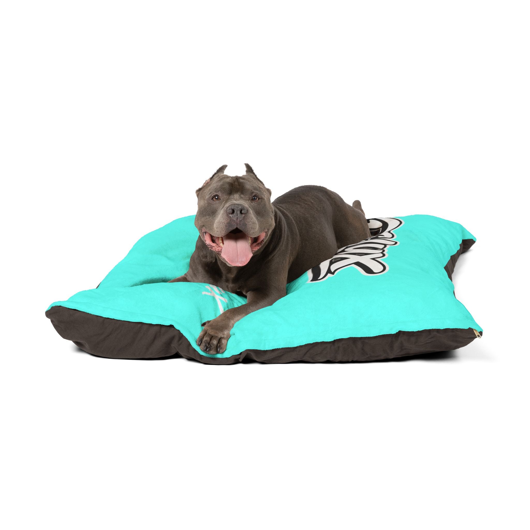 Pet Bed — Delux Streetwear Turquoise Plush Pillow with “Delux Streetwear” & #NotEveryoneCan Print