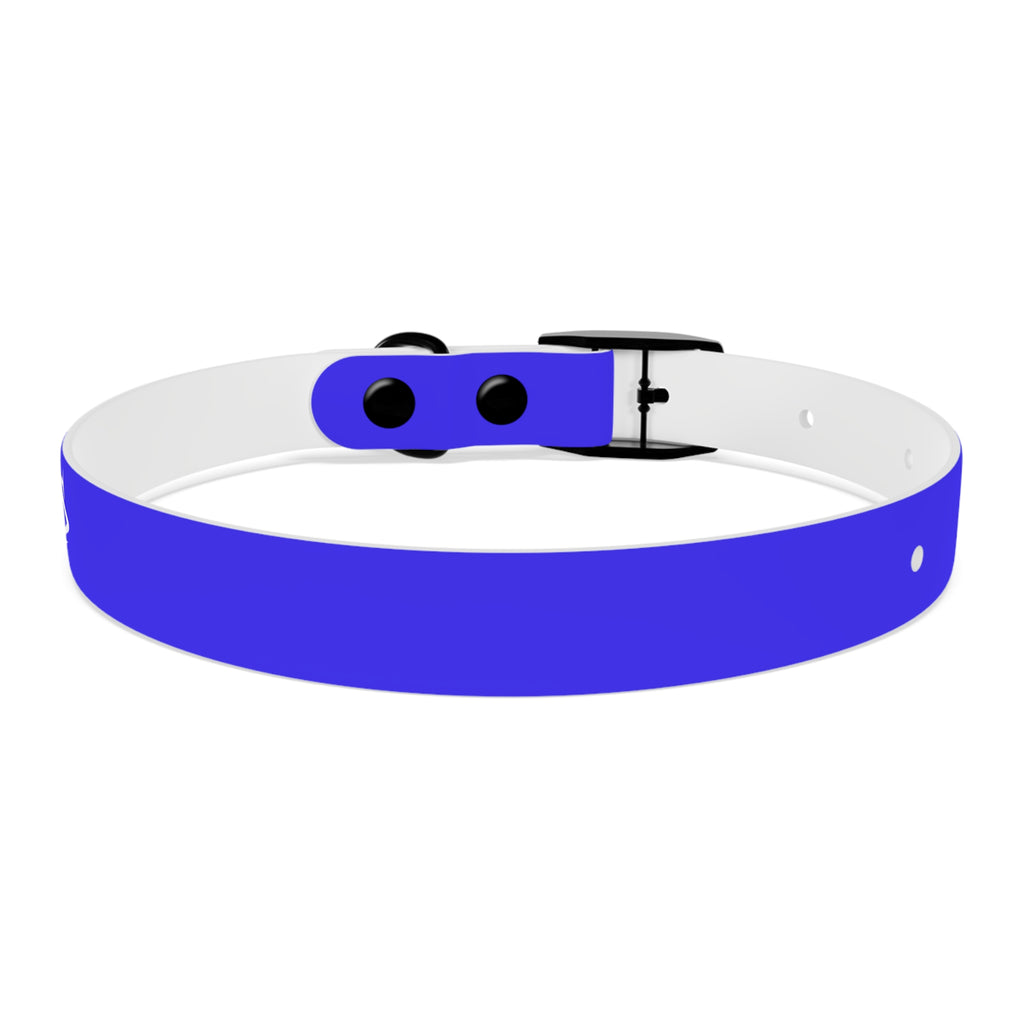 Blue Branded Dog Collar — Adjustable Waterproof Pet Collar with White Logo