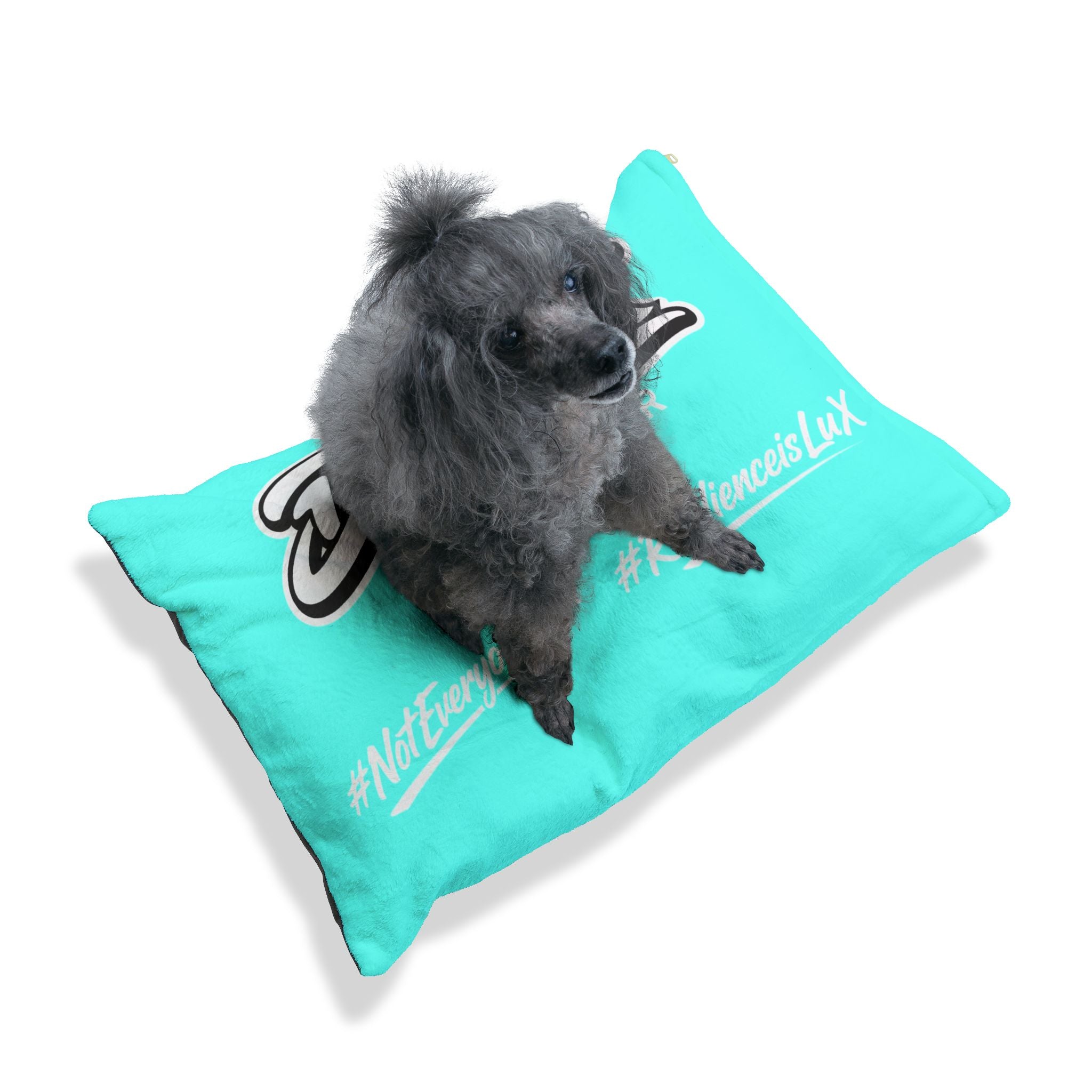 Pet Bed — Delux Streetwear Turquoise Plush Pillow with “Delux Streetwear” & #NotEveryoneCan Print