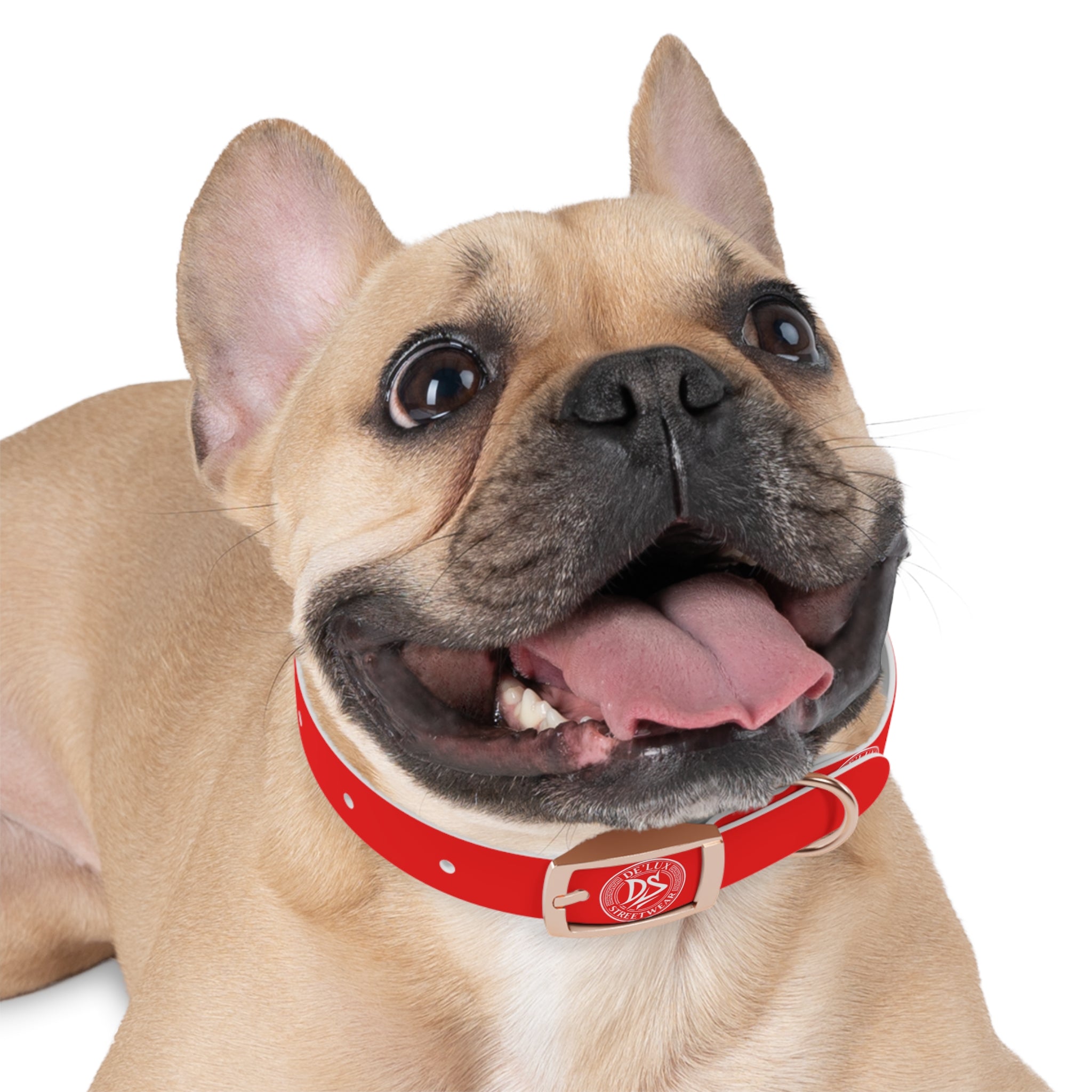 Red Logo Dog Collar — Durable Adjustable Pet Collar with White DS Emblem