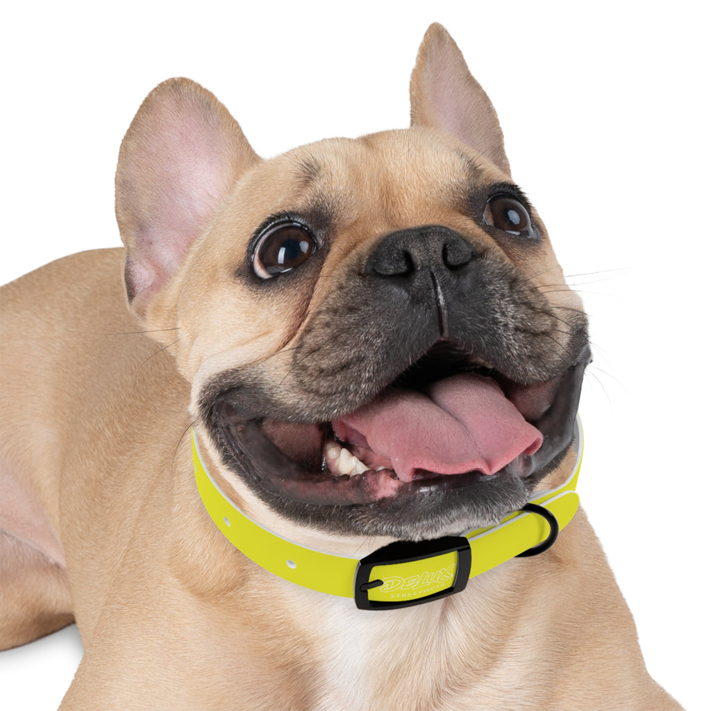 Neon Yellow Reflective Dog Collar — High-Visibility Safety Collar for Pets