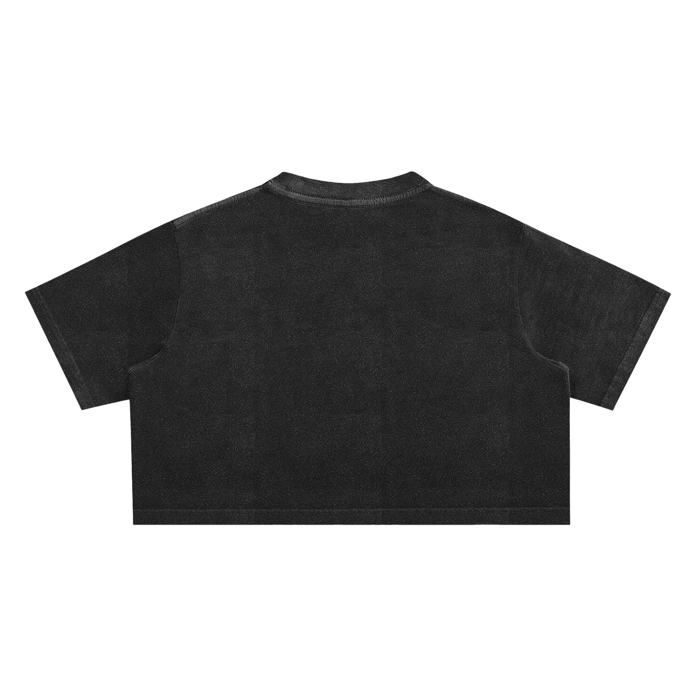 Panther Snow Washed Crop Top