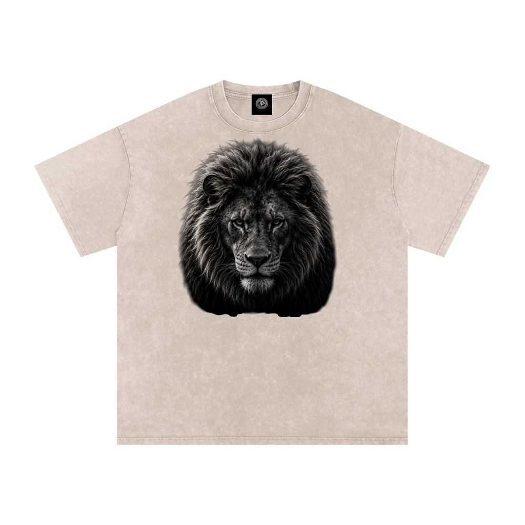 Snow Washed Oversized Cotton T-Shirt