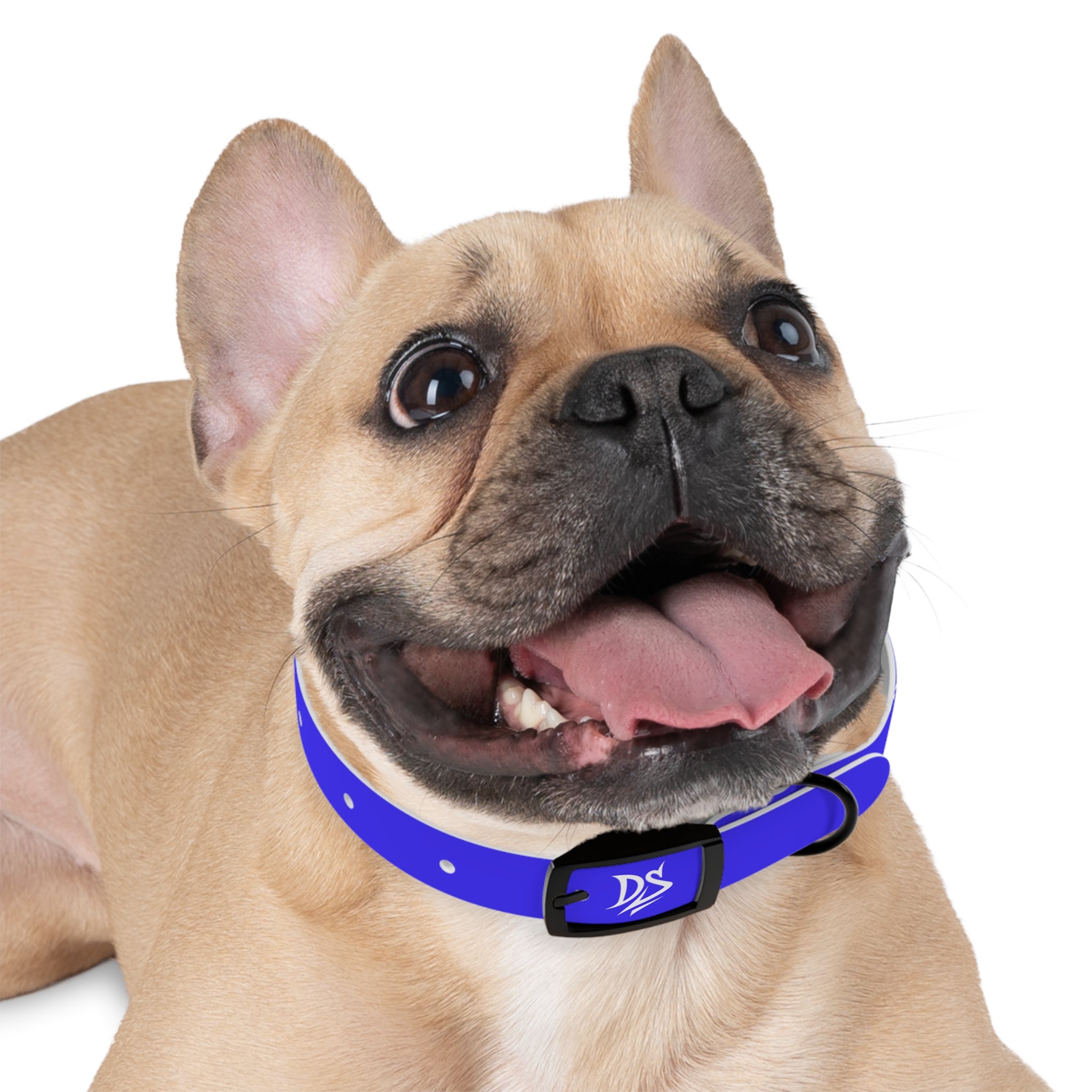 Blue Branded Dog Collar — Adjustable Waterproof Pet Collar with White Logo