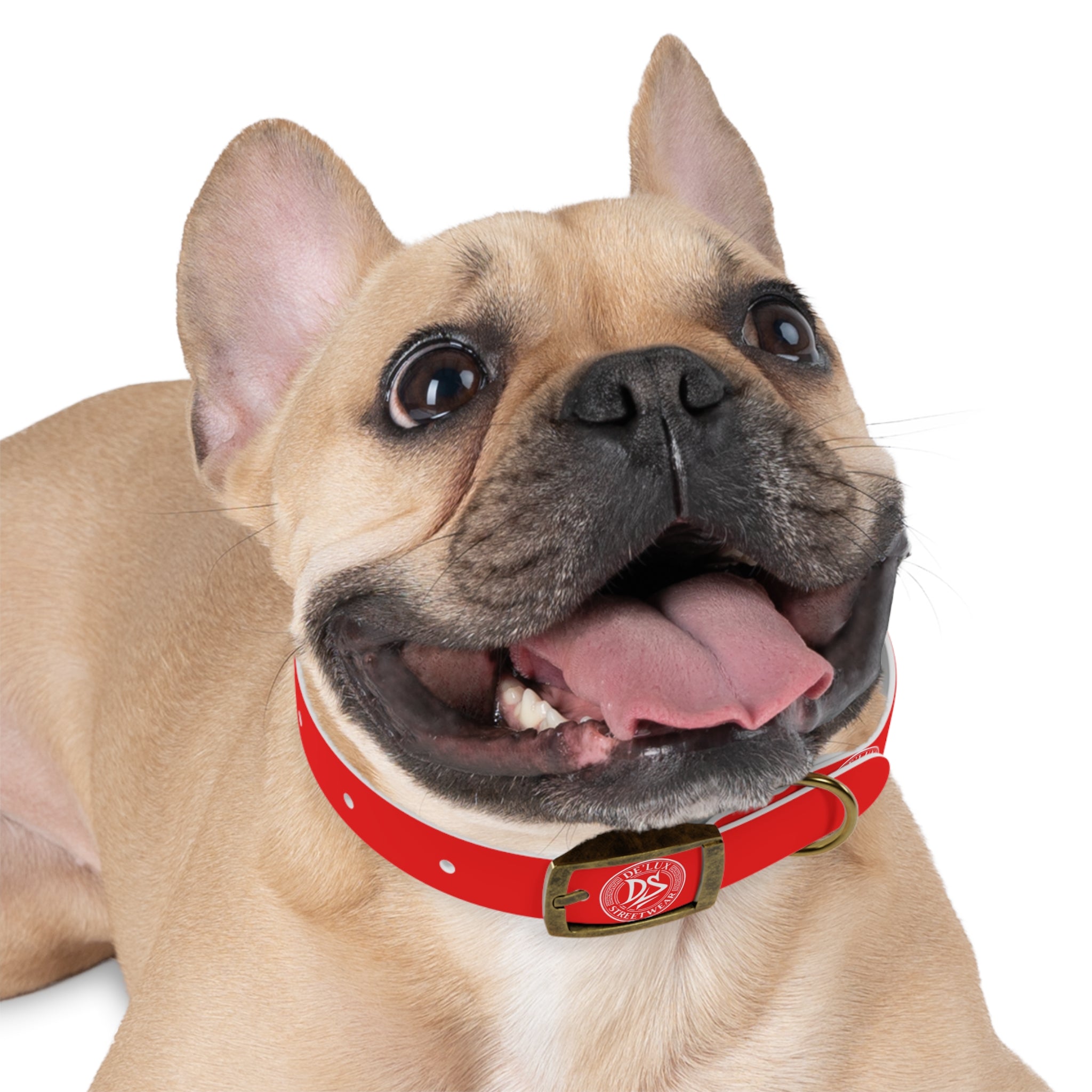 Red Logo Dog Collar — Durable Adjustable Pet Collar with White DS Emblem