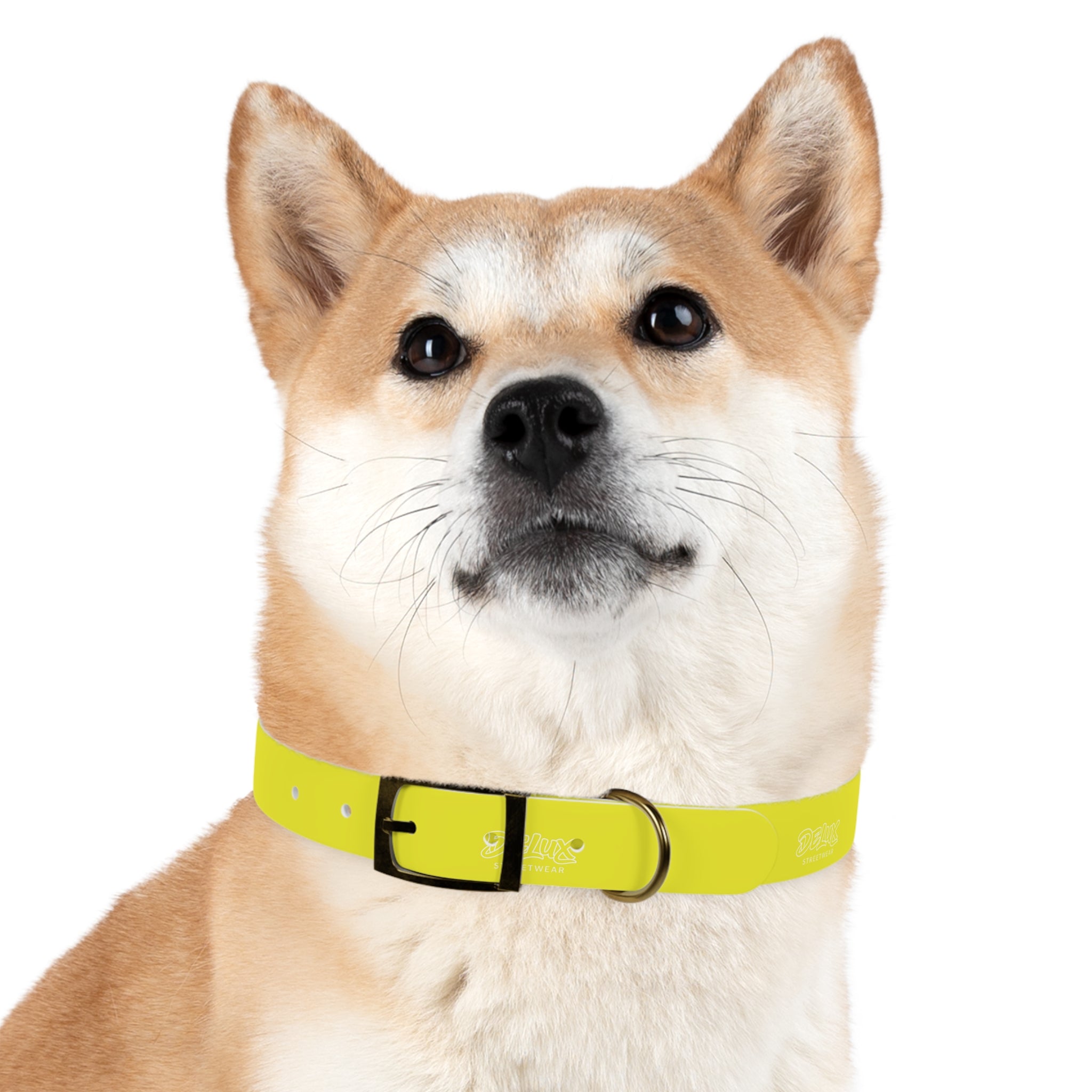 Neon Yellow Reflective Dog Collar — High-Visibility Safety Collar for Pets