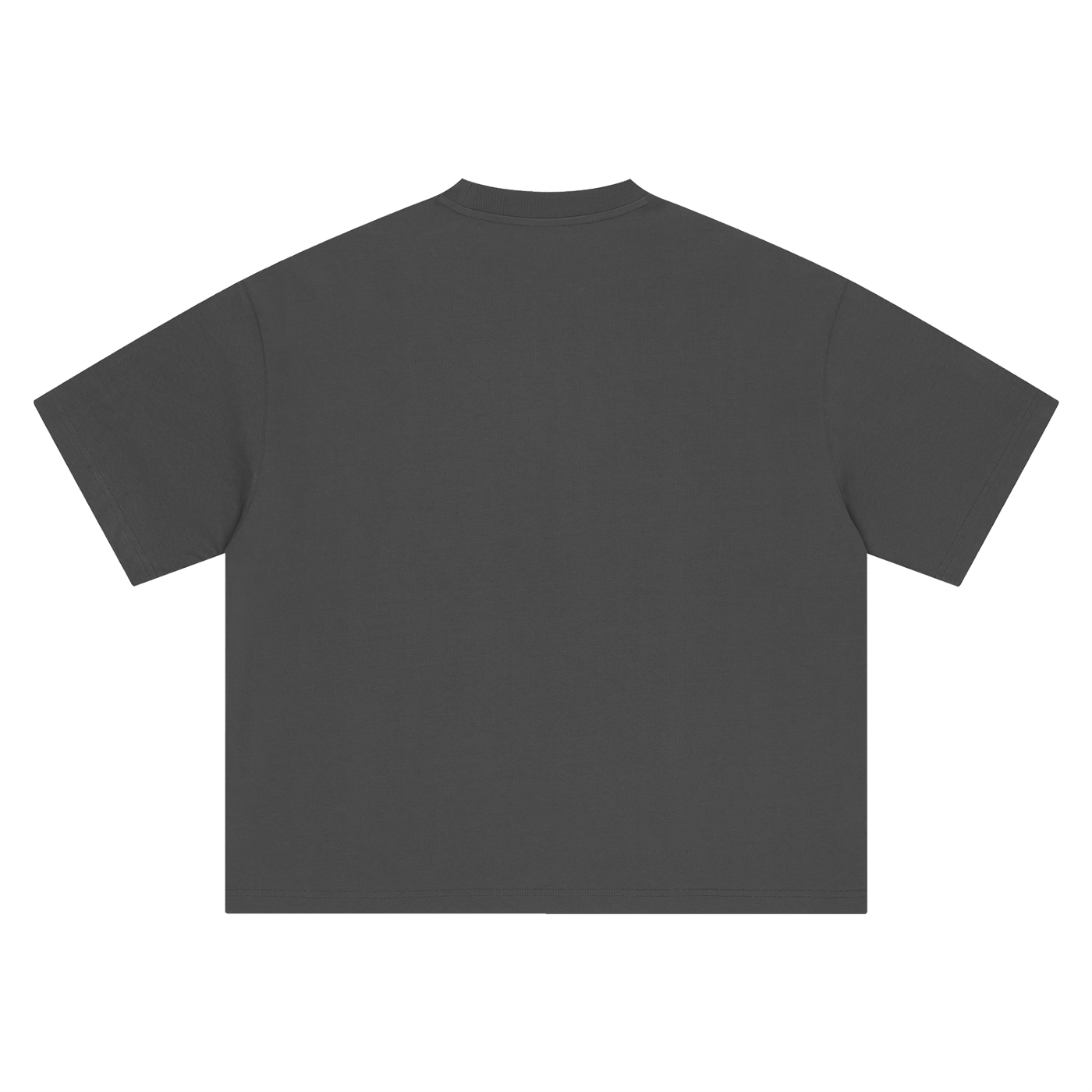 DeLuX Panther Boxy Oversized T-Shirt