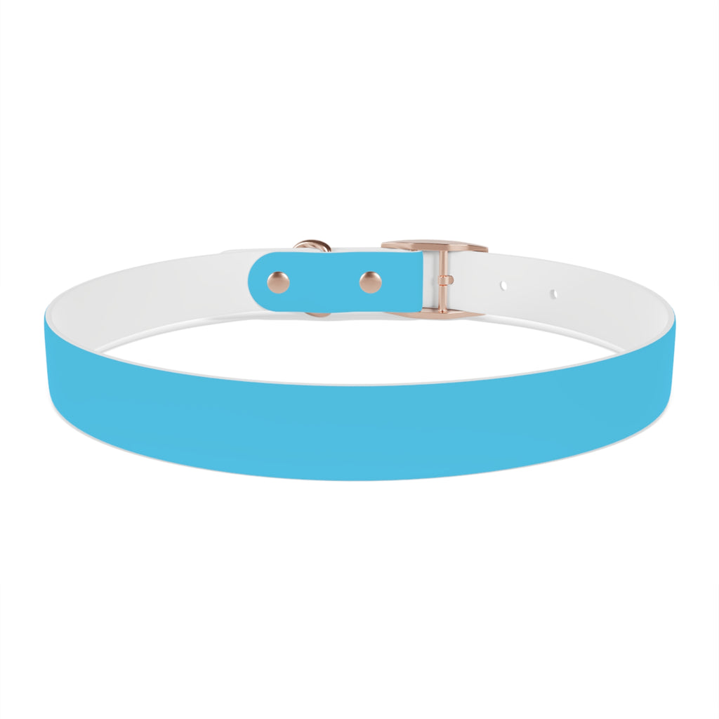Aqua Blue Dog Collar — Durable Waterproof Pet Collar with Black Buckle