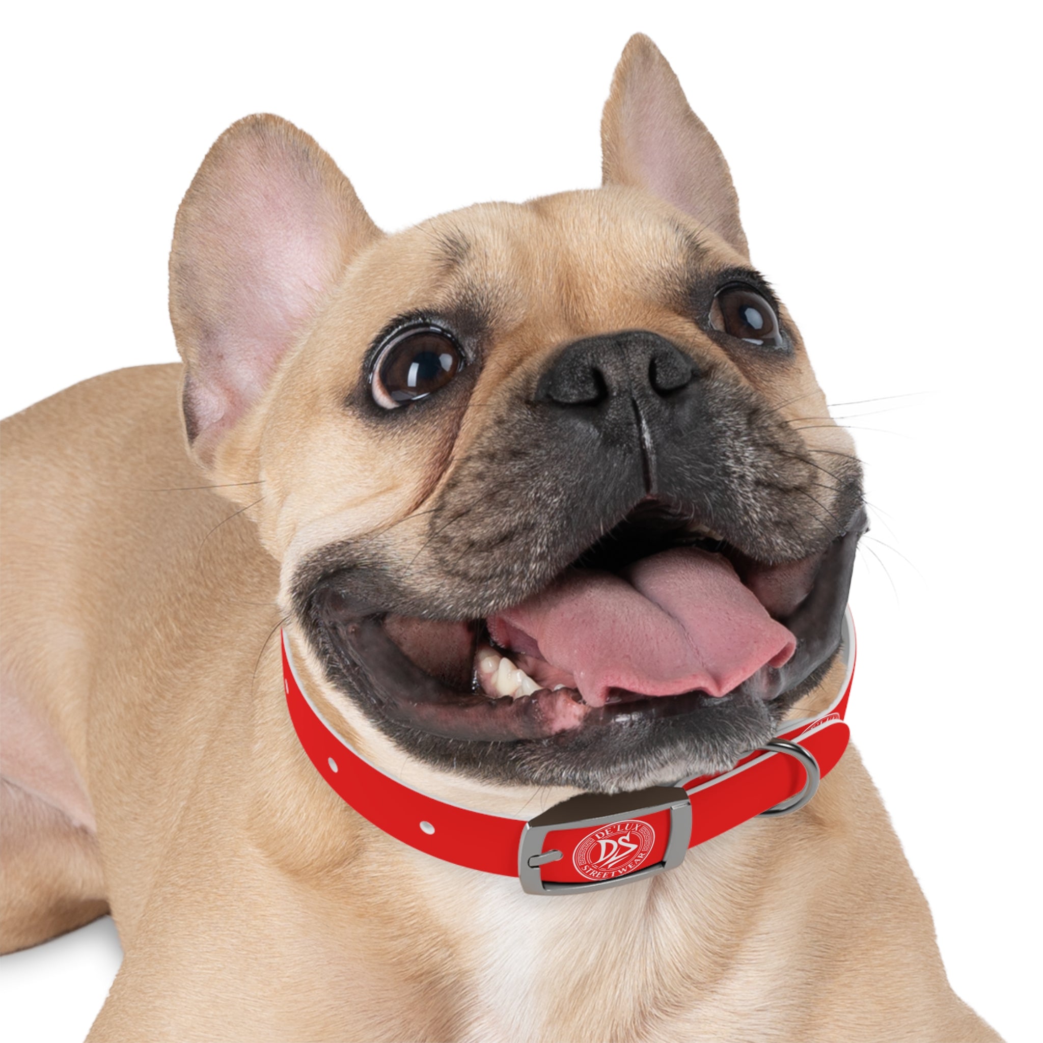 Red Logo Dog Collar — Durable Adjustable Pet Collar with White DS Emblem