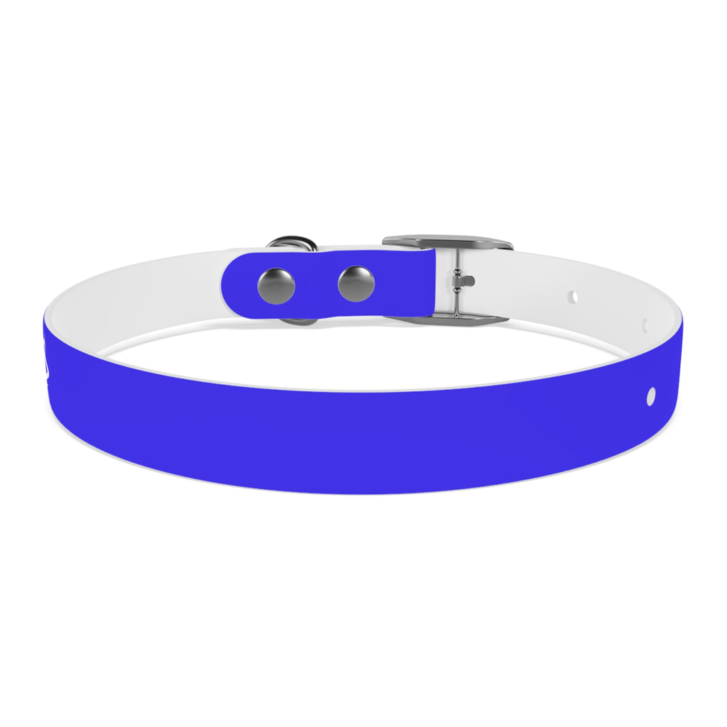Blue Branded Dog Collar — Adjustable Waterproof Pet Collar with White Logo