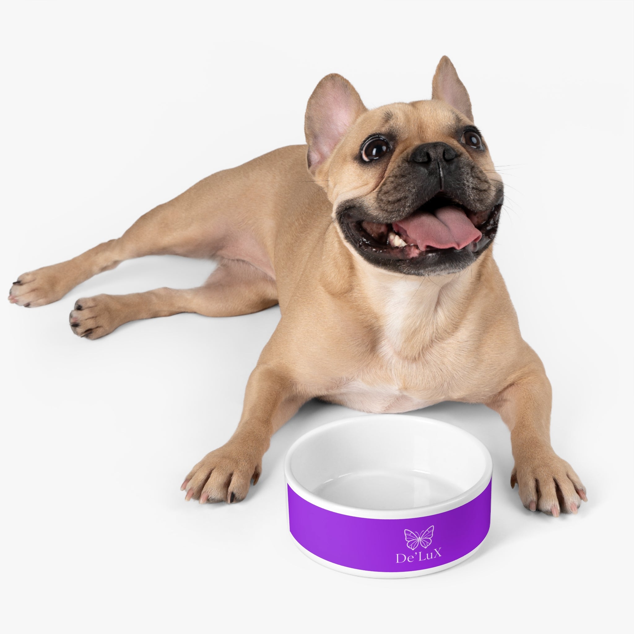 Pet Bowl — De'LuX Purple Butterfly Ceramic Pet Bowl