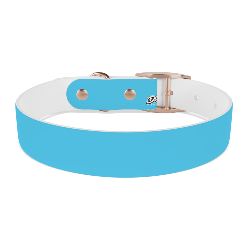 Aqua Blue Dog Collar — Durable Waterproof Pet Collar with Black Buckle