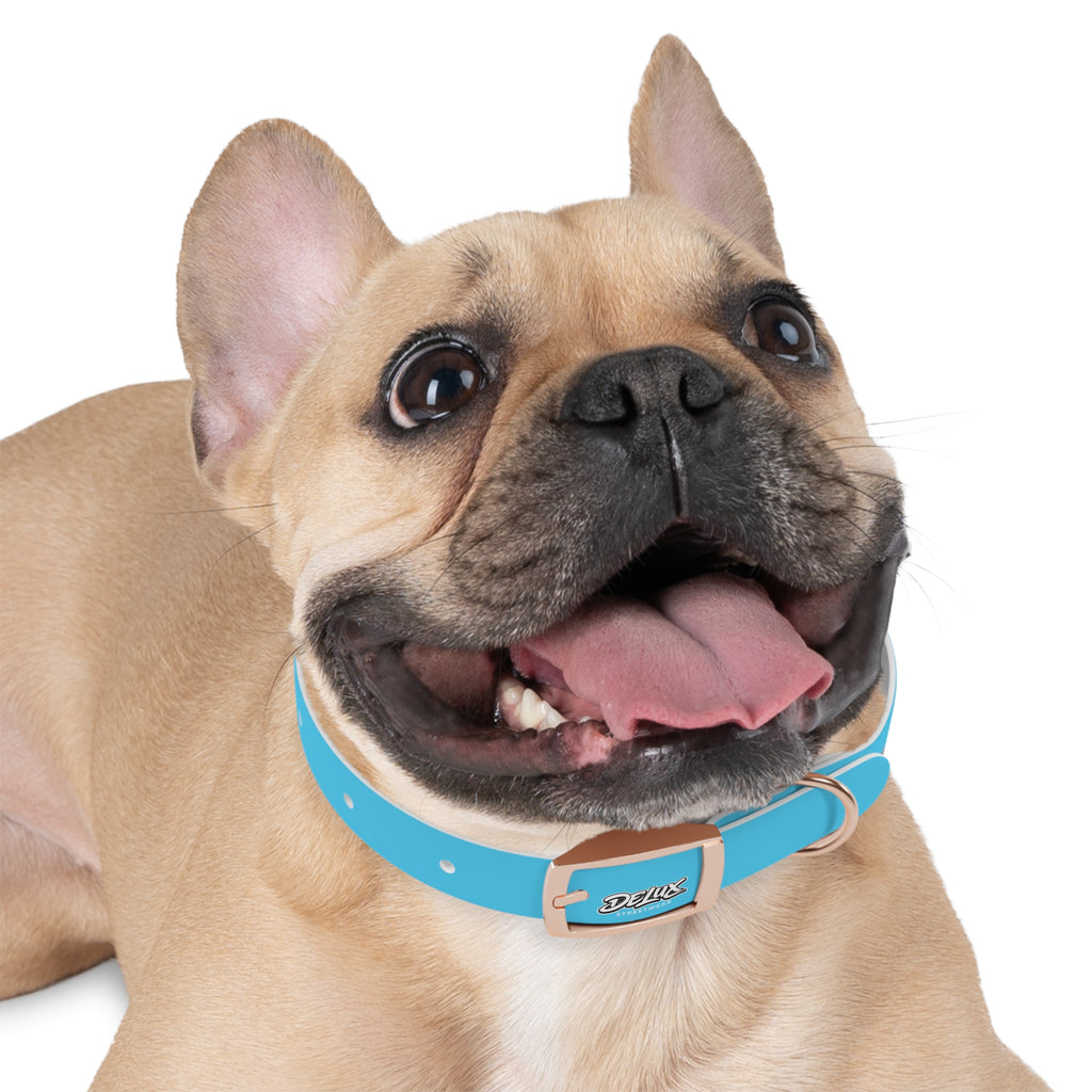 Aqua Blue Dog Collar — Durable Waterproof Pet Collar with Black Buckle