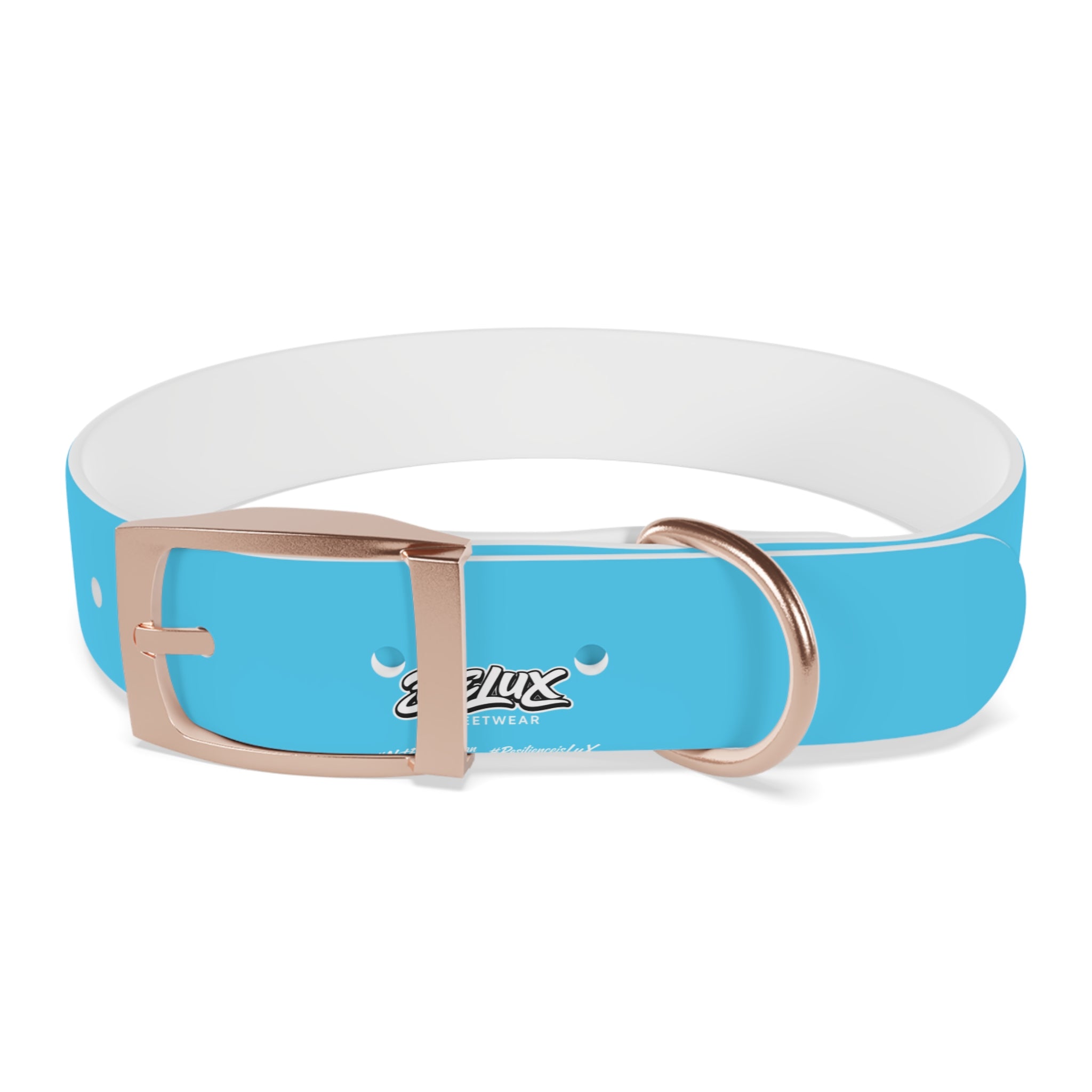 Aqua Blue Dog Collar — Durable Waterproof Pet Collar with Black Buckle