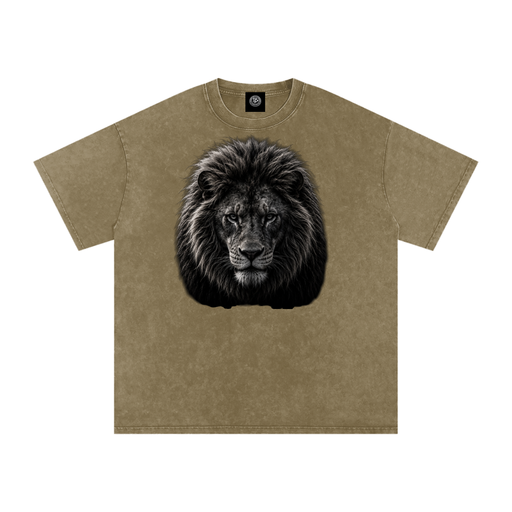 Snow Washed Oversized Cotton T-Shirt