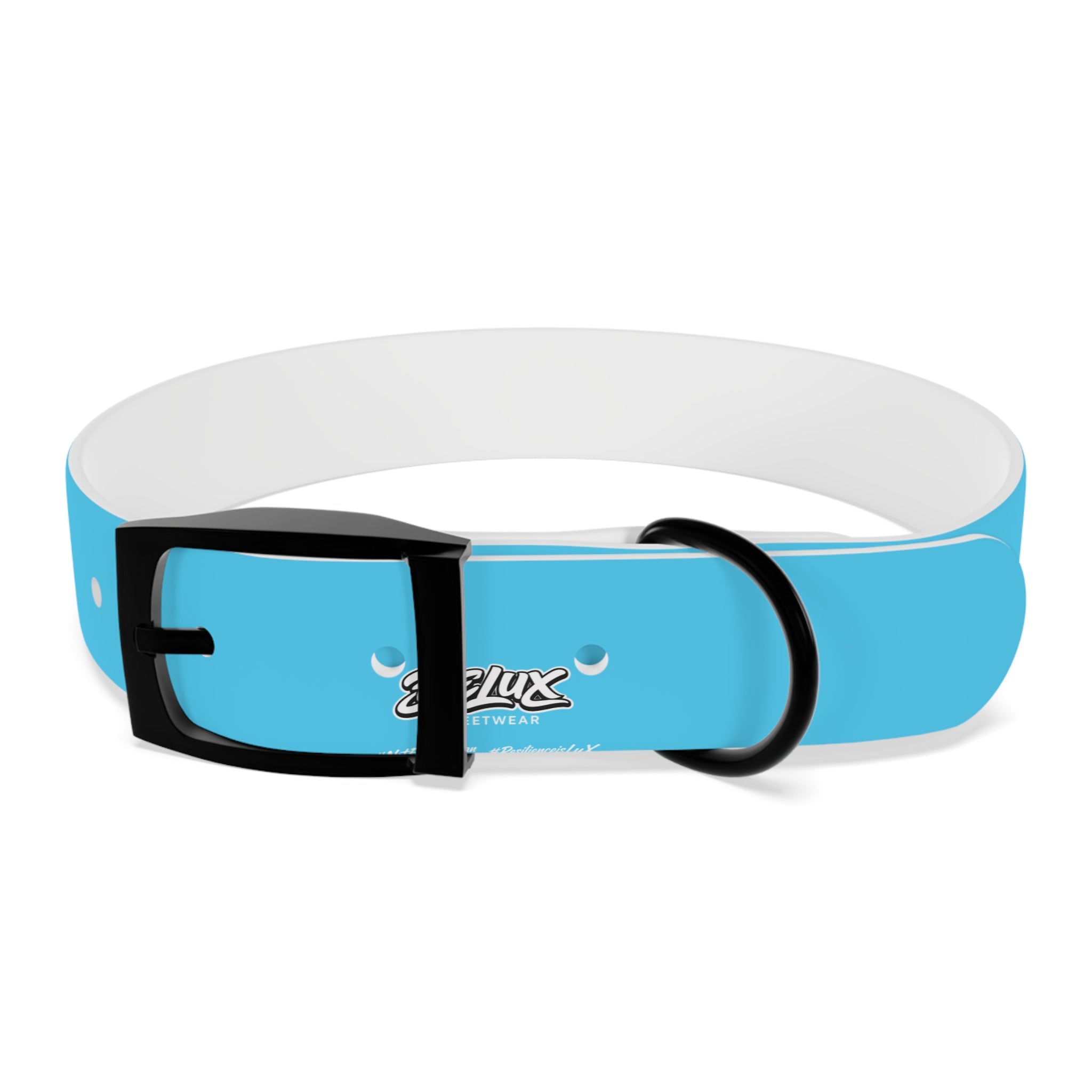 Aqua Blue Dog Collar — Durable Waterproof Pet Collar with Black Buckle