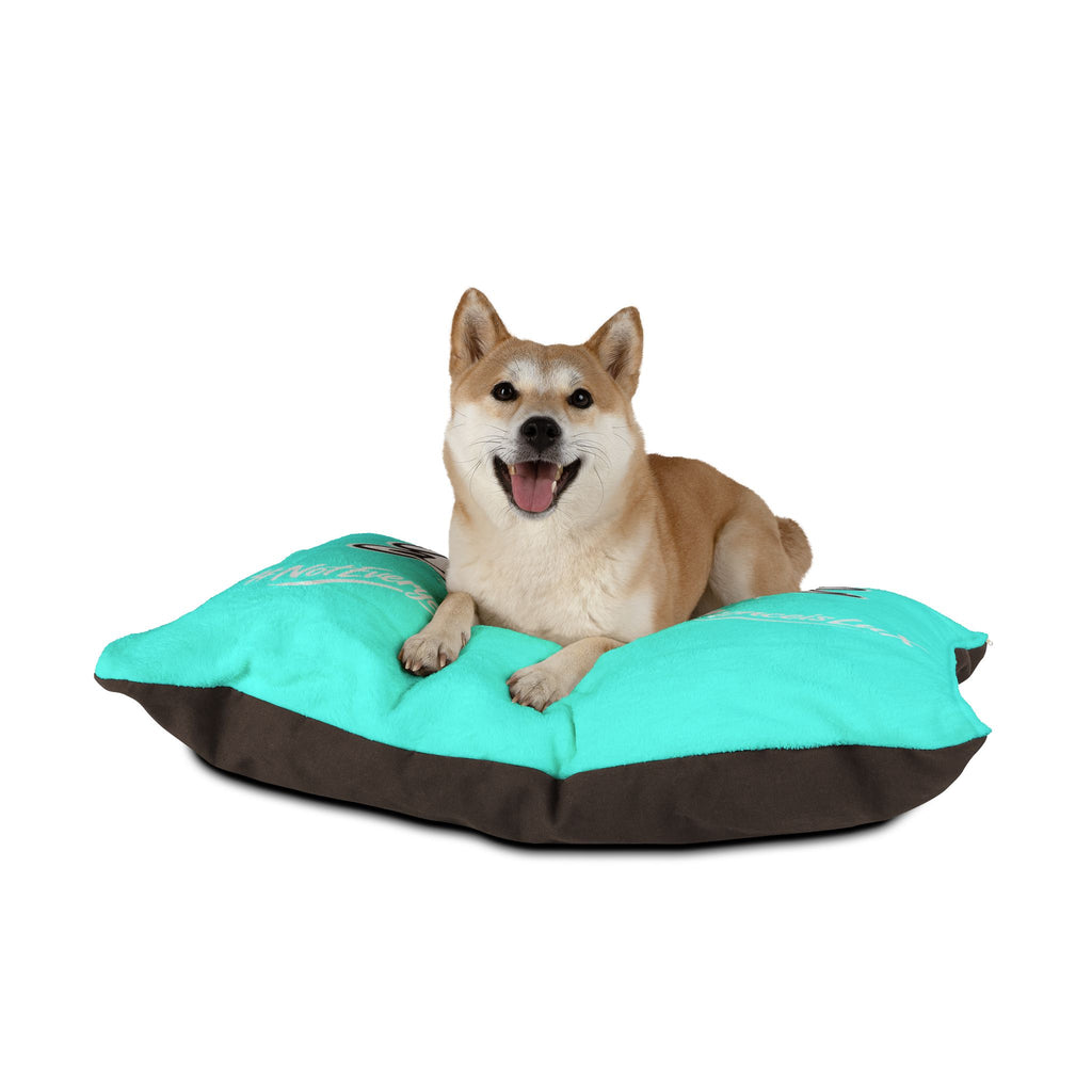 Pet Bed — Delux Streetwear Turquoise Plush Pillow with “Delux Streetwear” & #NotEveryoneCan Print