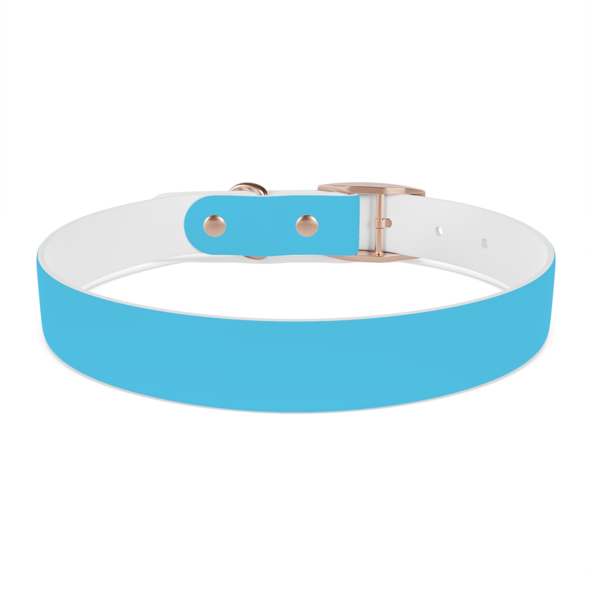 Aqua Blue Dog Collar — Durable Waterproof Pet Collar with Black Buckle