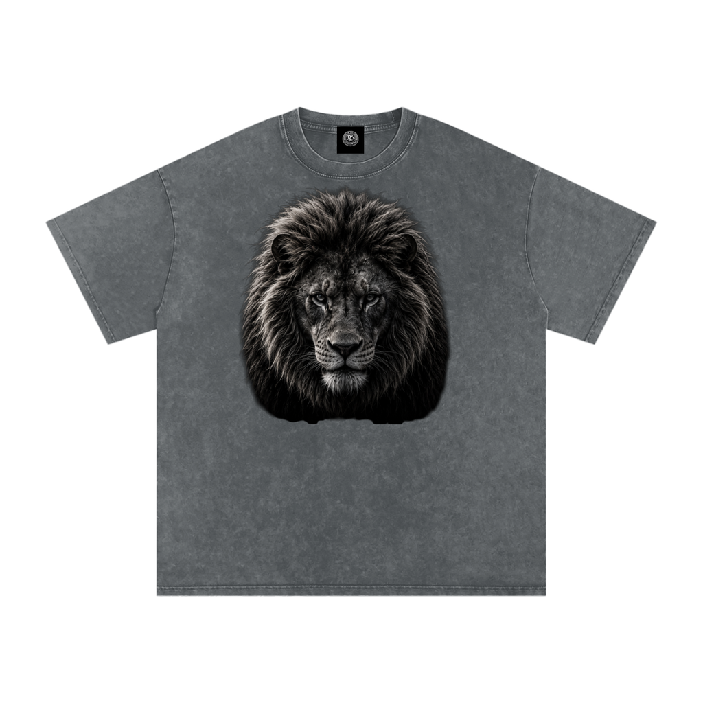 Snow Washed Oversized Cotton T-Shirt