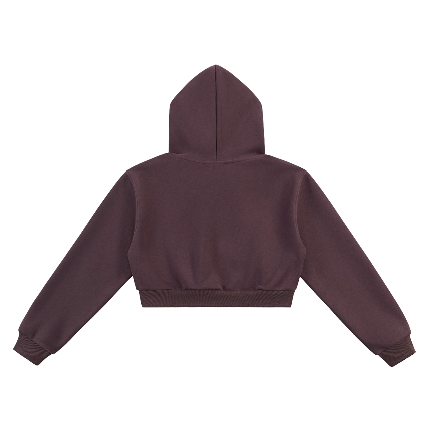 DeLuX Essential Cropped Hoodie
