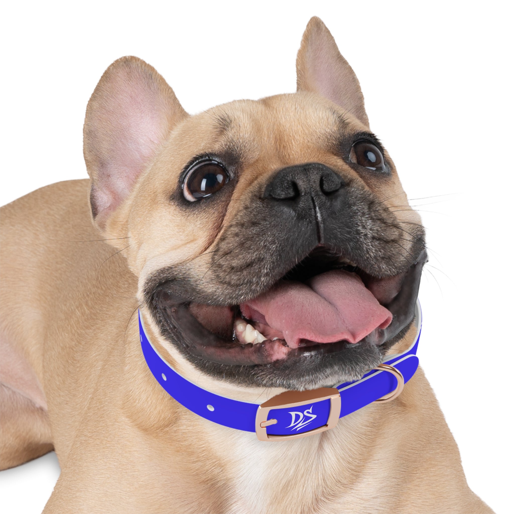 Blue Branded Dog Collar — Adjustable Waterproof Pet Collar with White Logo