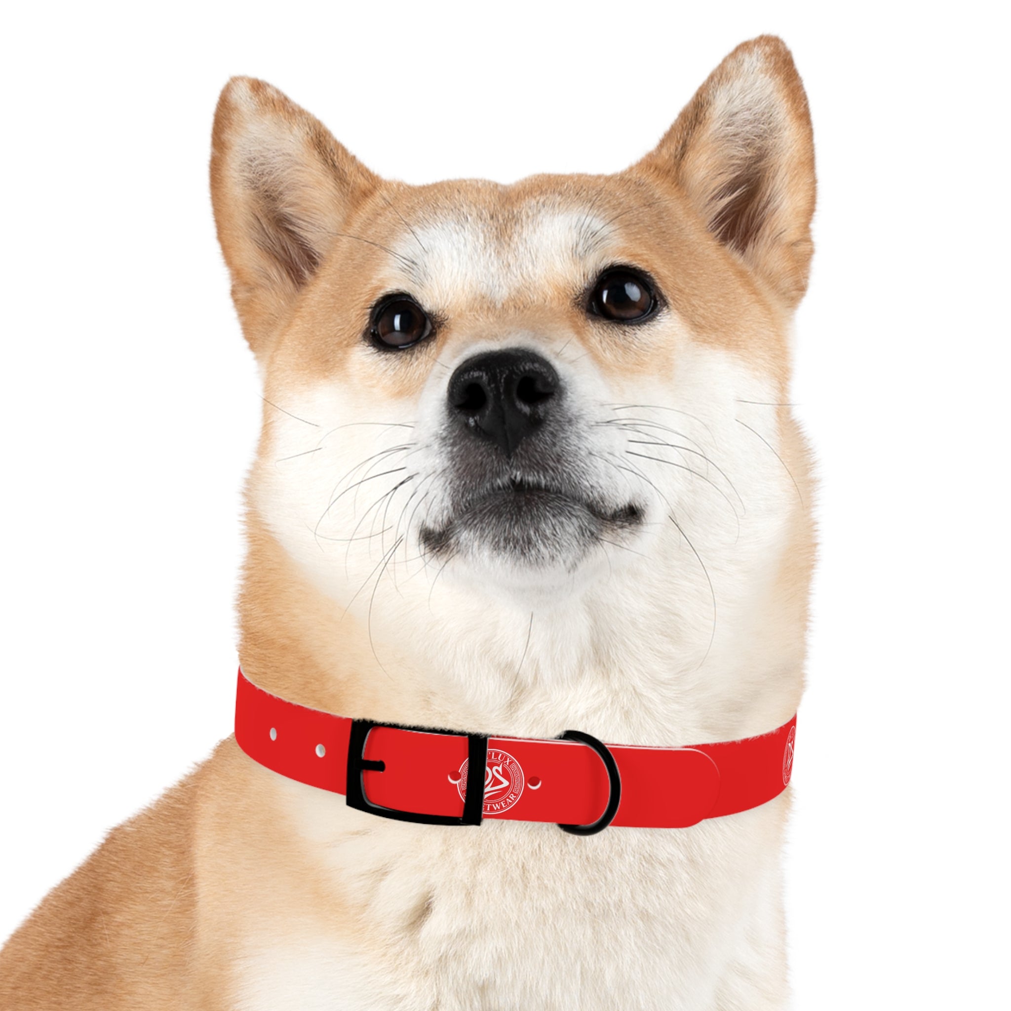 Red Logo Dog Collar — Durable Adjustable Pet Collar with White DS Emblem