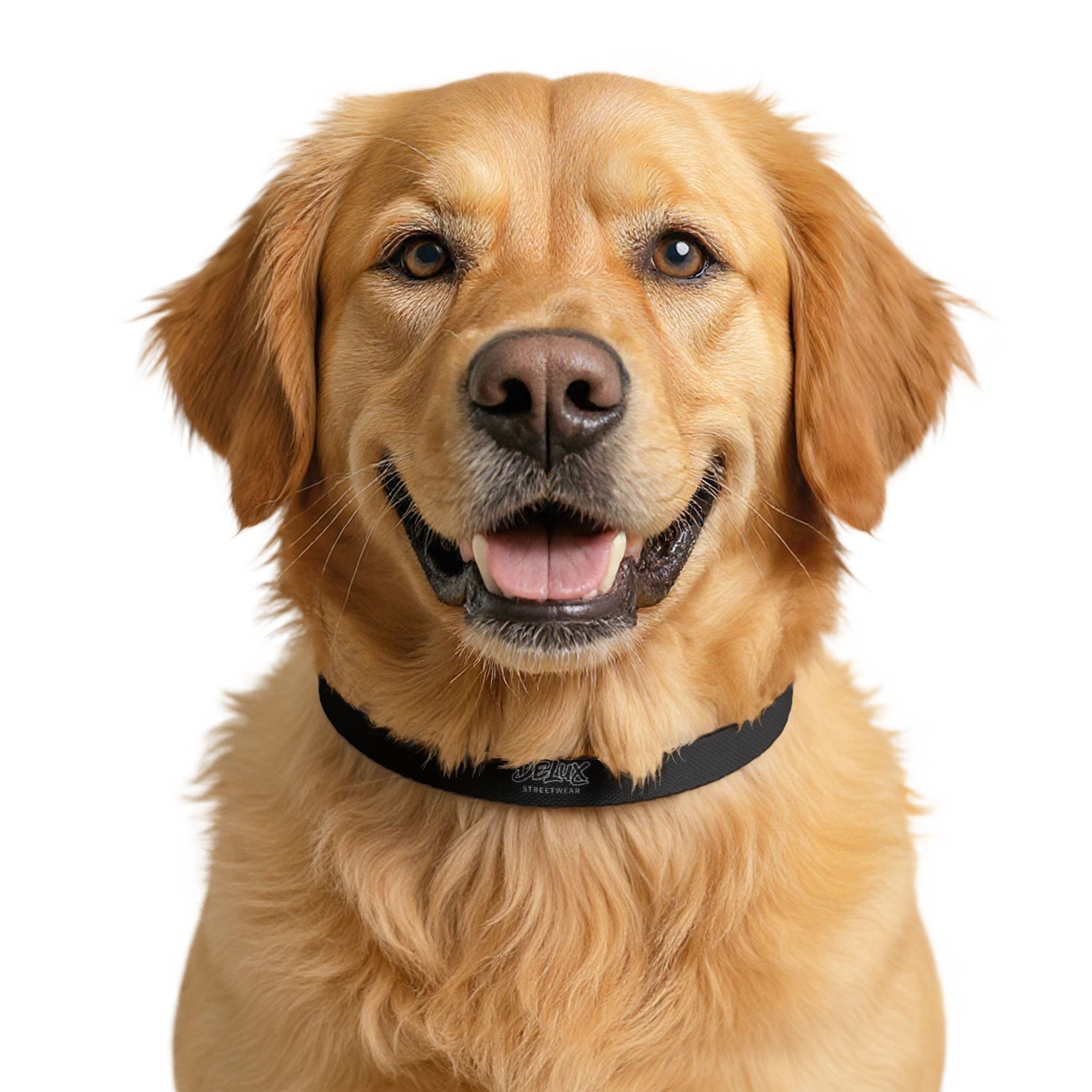 DeLUX Clip-on Pet Collar — Adjustable Quick-Release Dog & Cat Collar