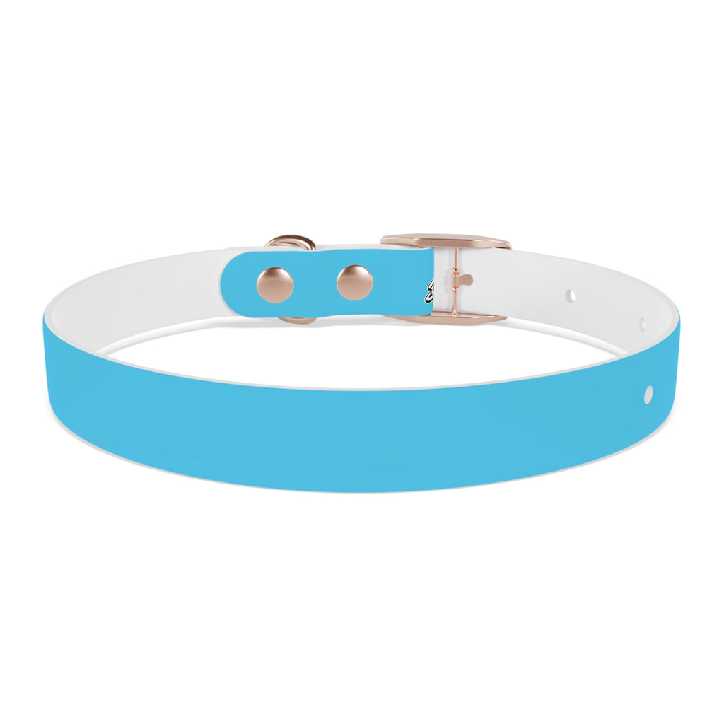 Aqua Blue Dog Collar — Durable Waterproof Pet Collar with Black Buckle