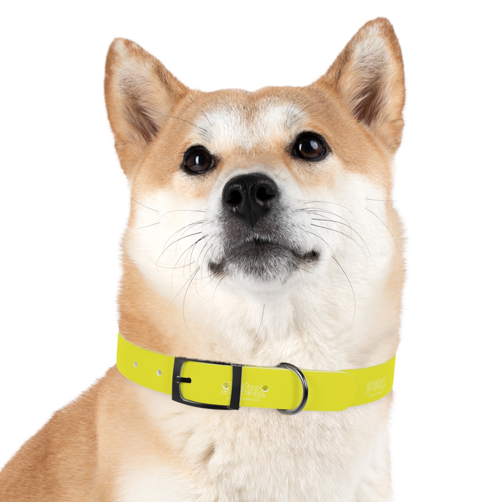 Neon Yellow Reflective Dog Collar — High-Visibility Safety Collar for Pets