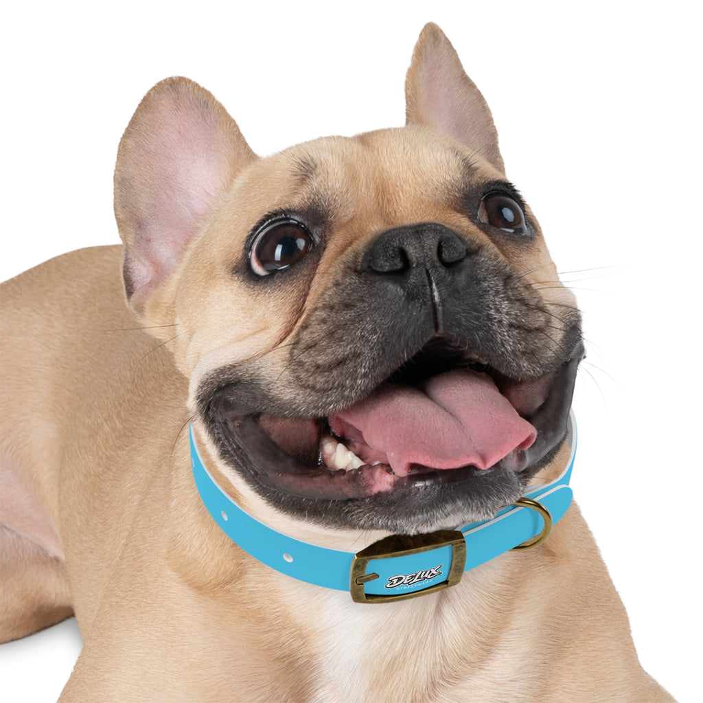 Aqua Blue Dog Collar — Durable Waterproof Pet Collar with Black Buckle